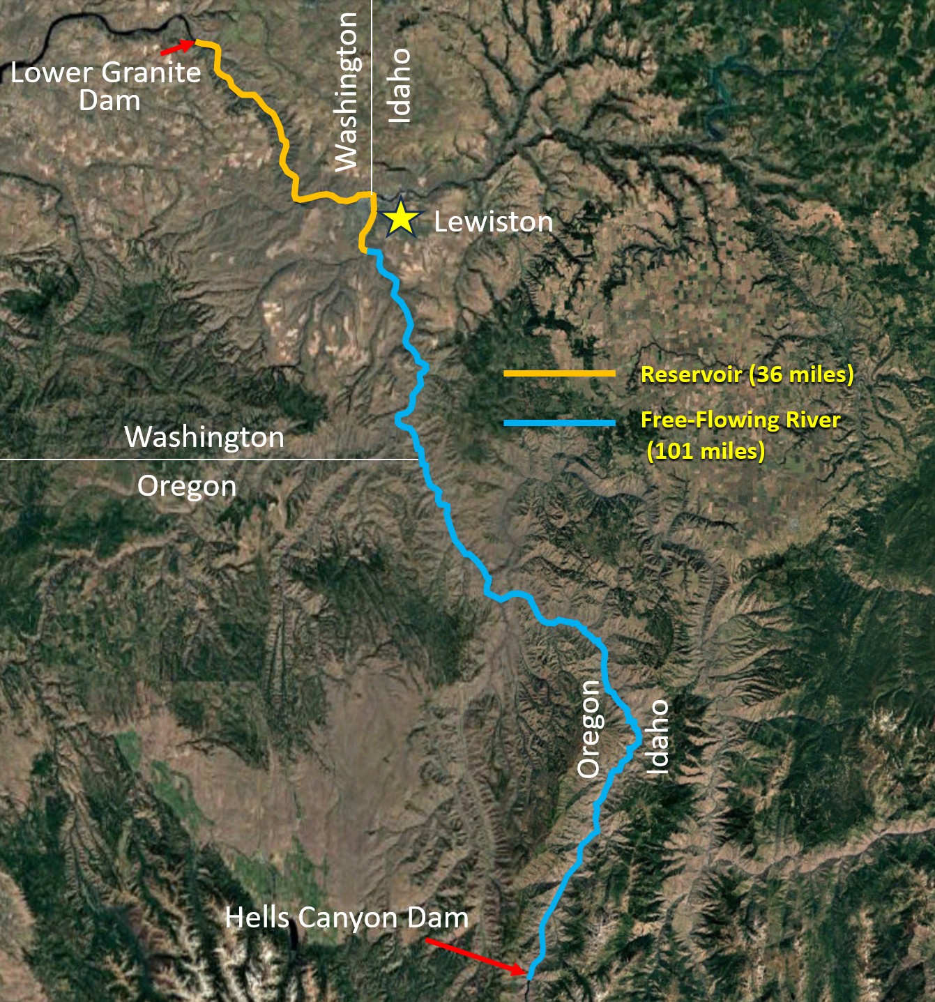 Map of Hells Canyon sturgeon population