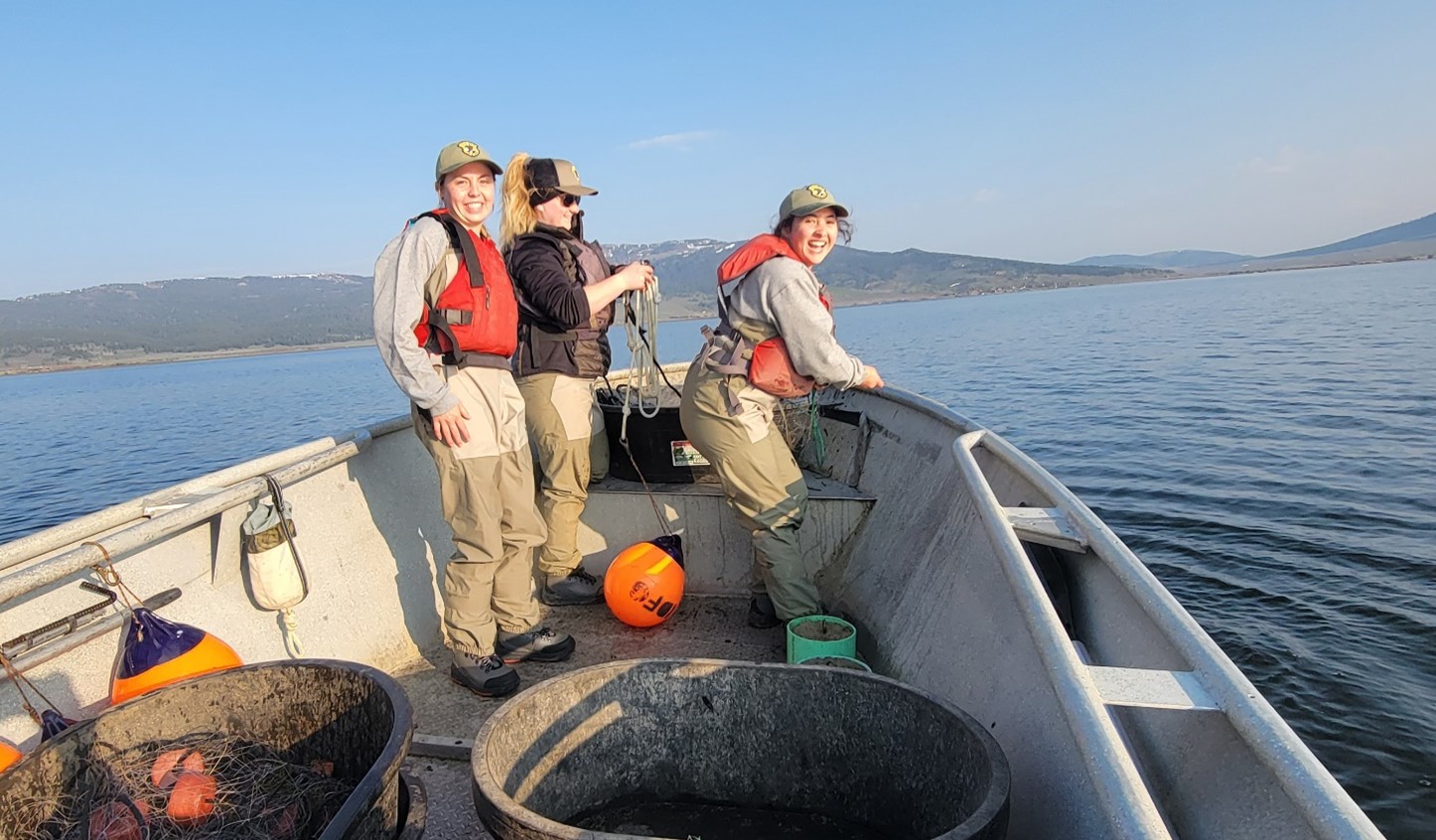 Technicians hauling in Gill Nets on Henrys Lake