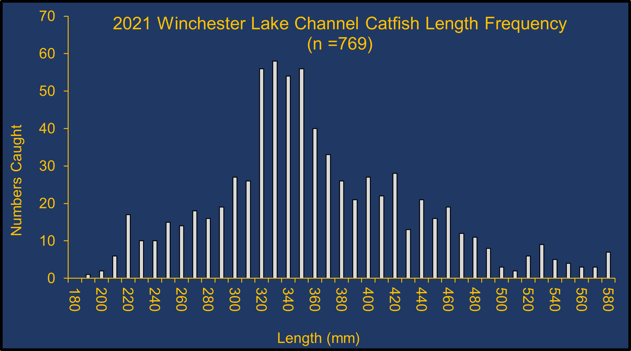 2021 Winchester Lake Channel Catfish Length Frequency