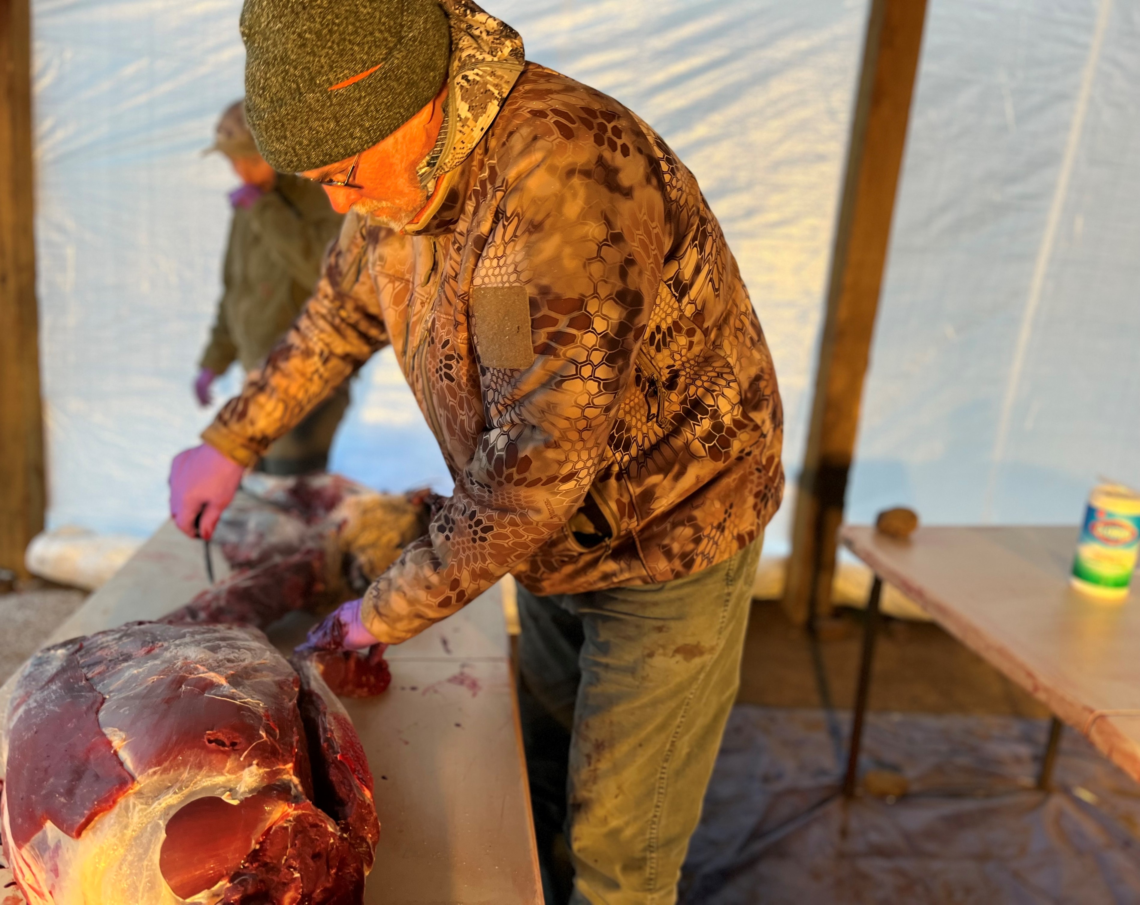 Deer meat being processed during Slate Creek deer removal for CWD