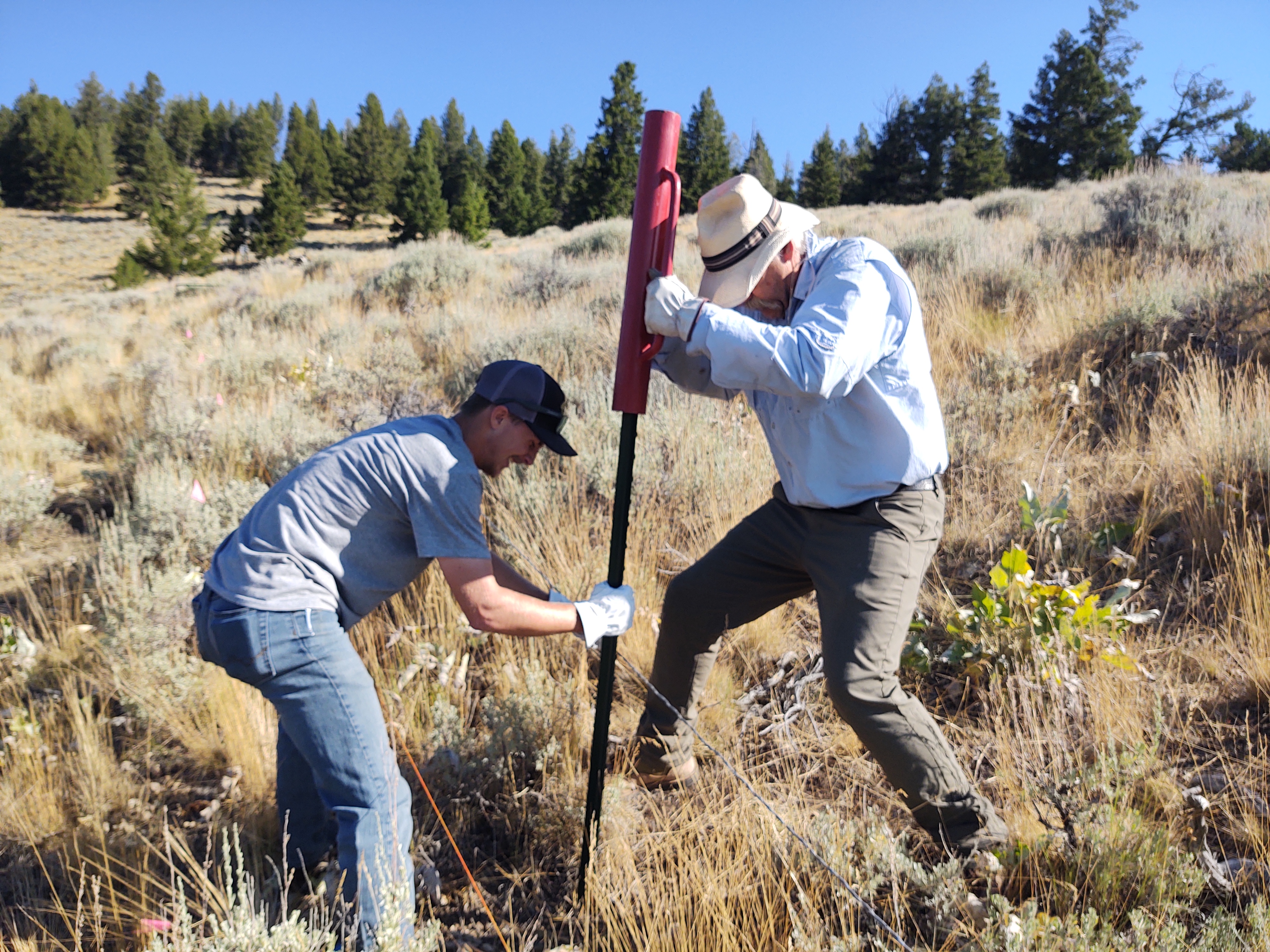 salmon watershed fencing