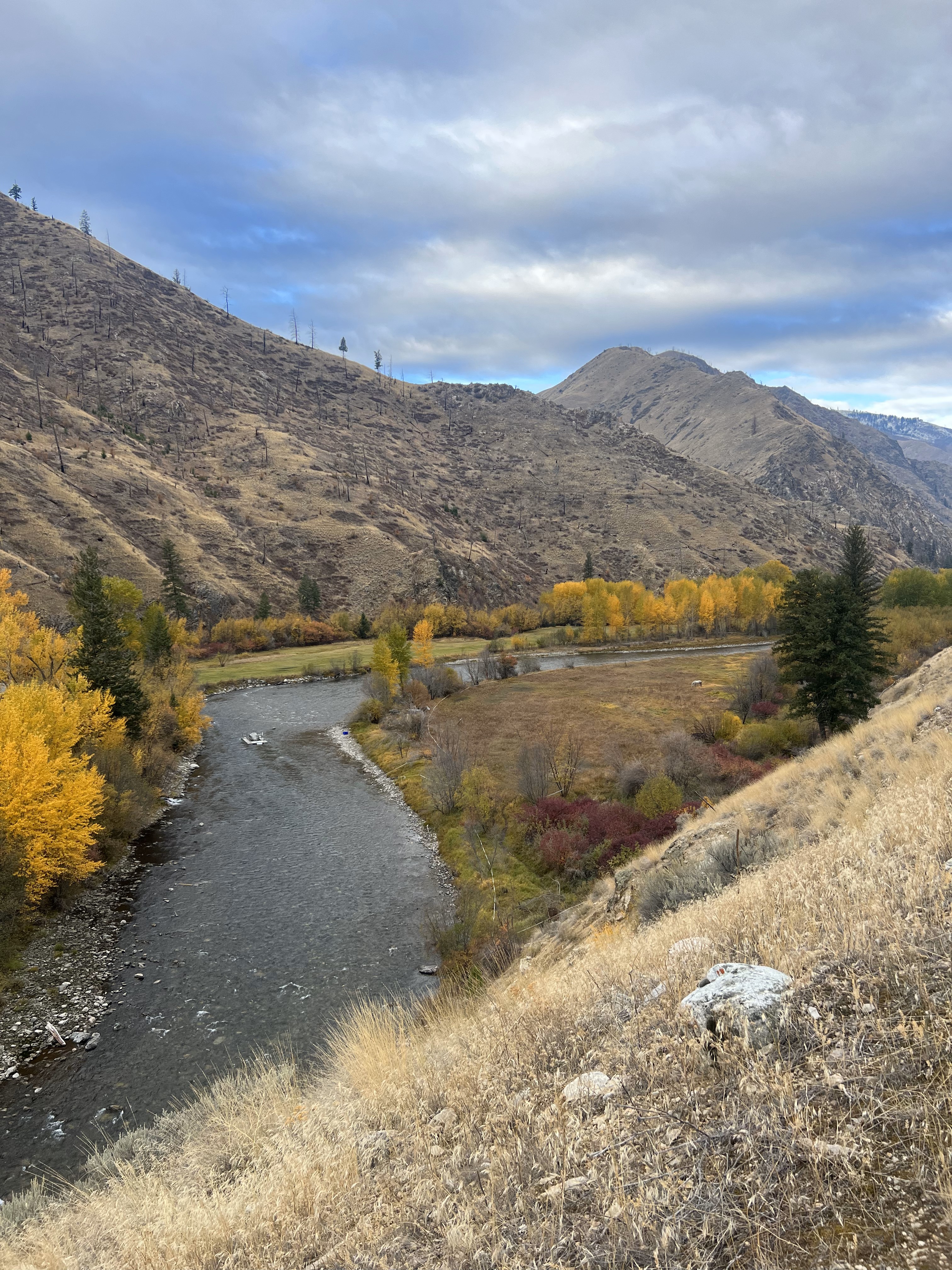 Big Creek in fall splendor.