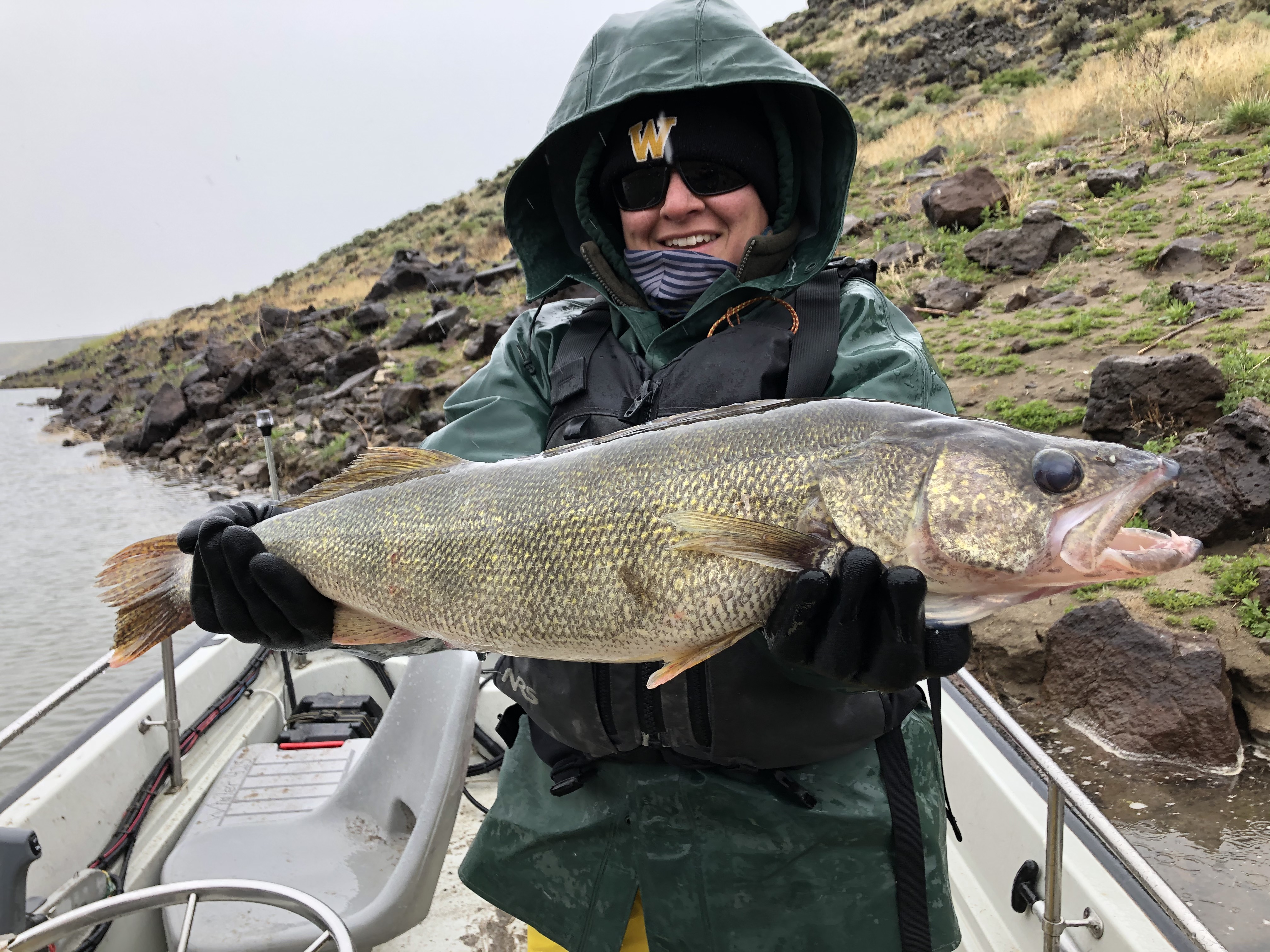 Walleye from SFCR-R4