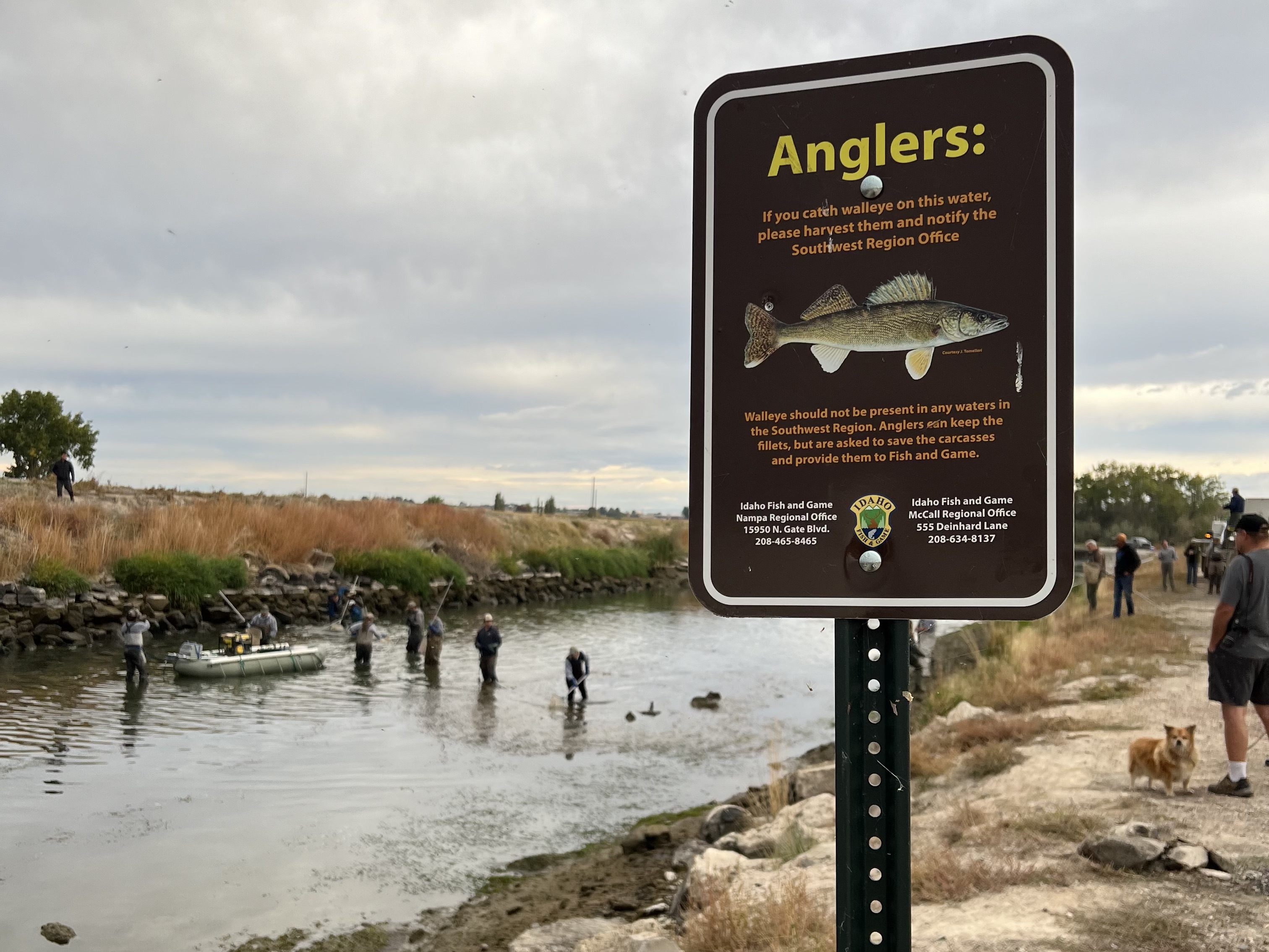 A walleye sign at the Lowline Canal of Lake Lowell is pictured, with fisheries crews working in the background.