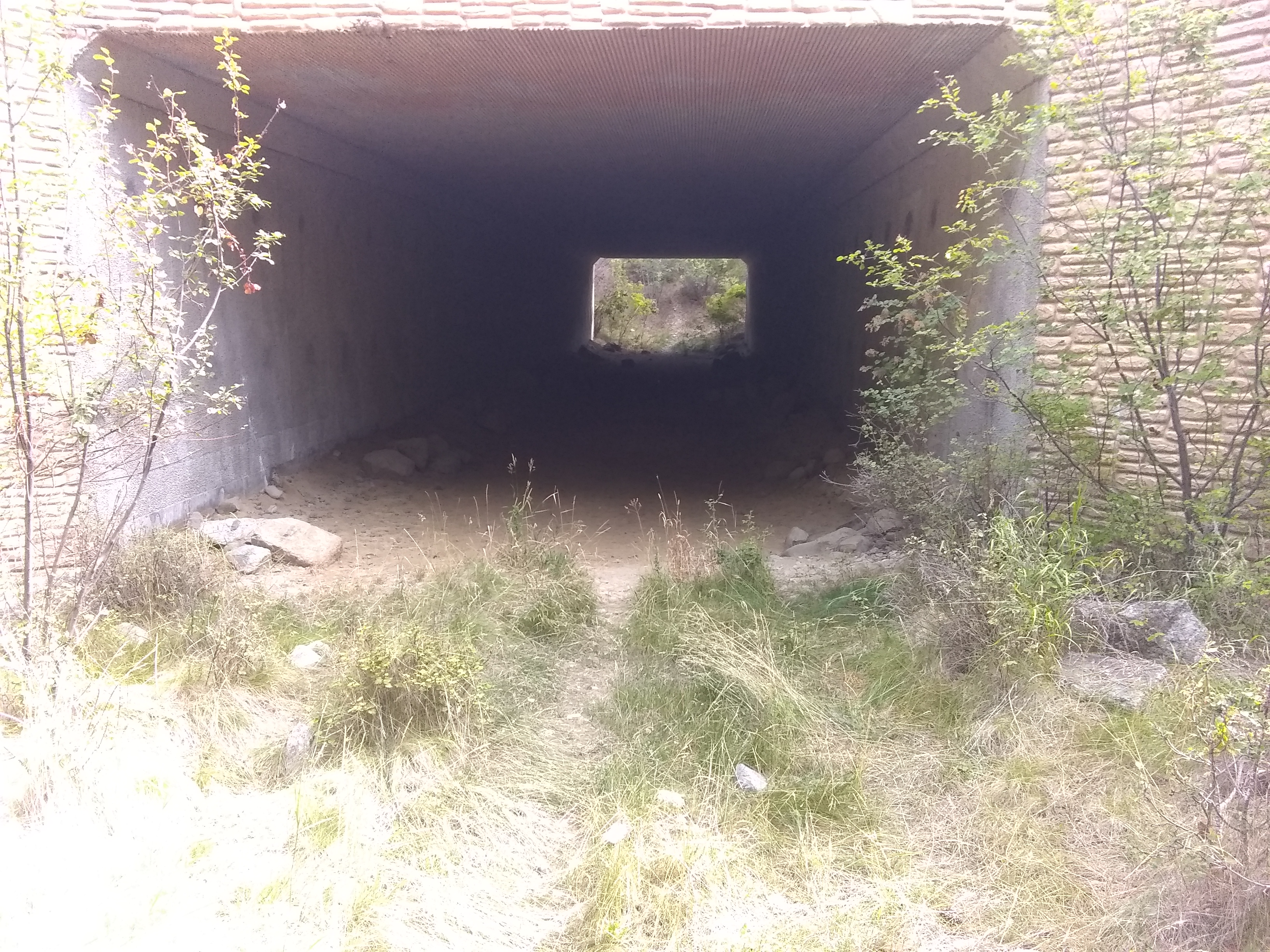 Inside view of wildlife underpass on US Highway 95 in North Idaho