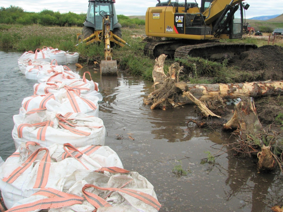 Placing tree root wads provides more hiding places for young fish