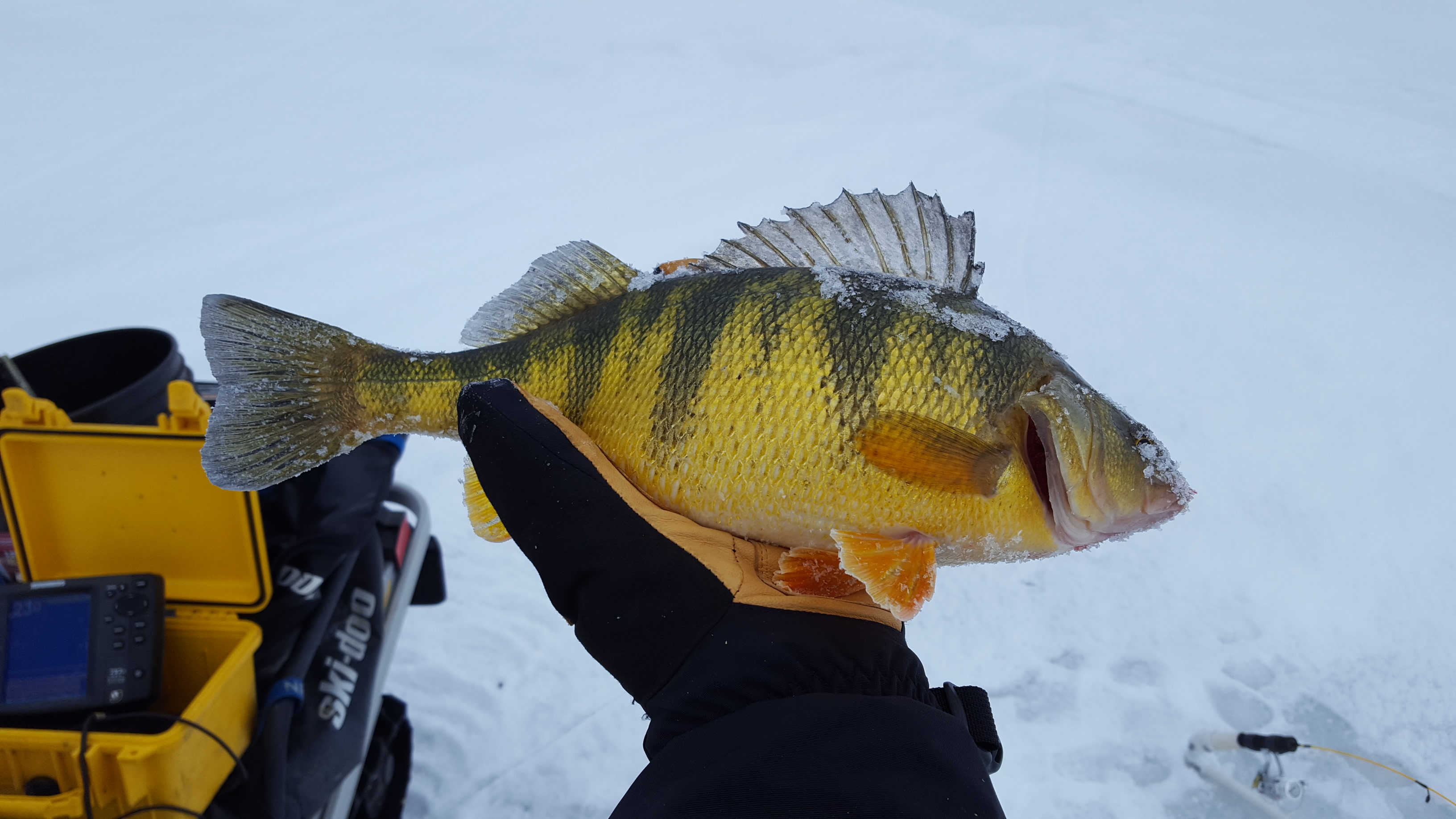Feb. 19 Lake Cascade ice conditions and fishing report Idaho Fish