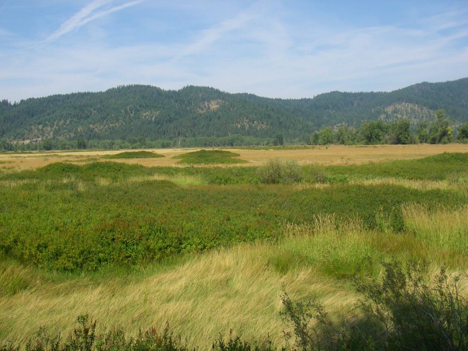 Lane Marsh parcel on the Coeur d'Alene River WMA
