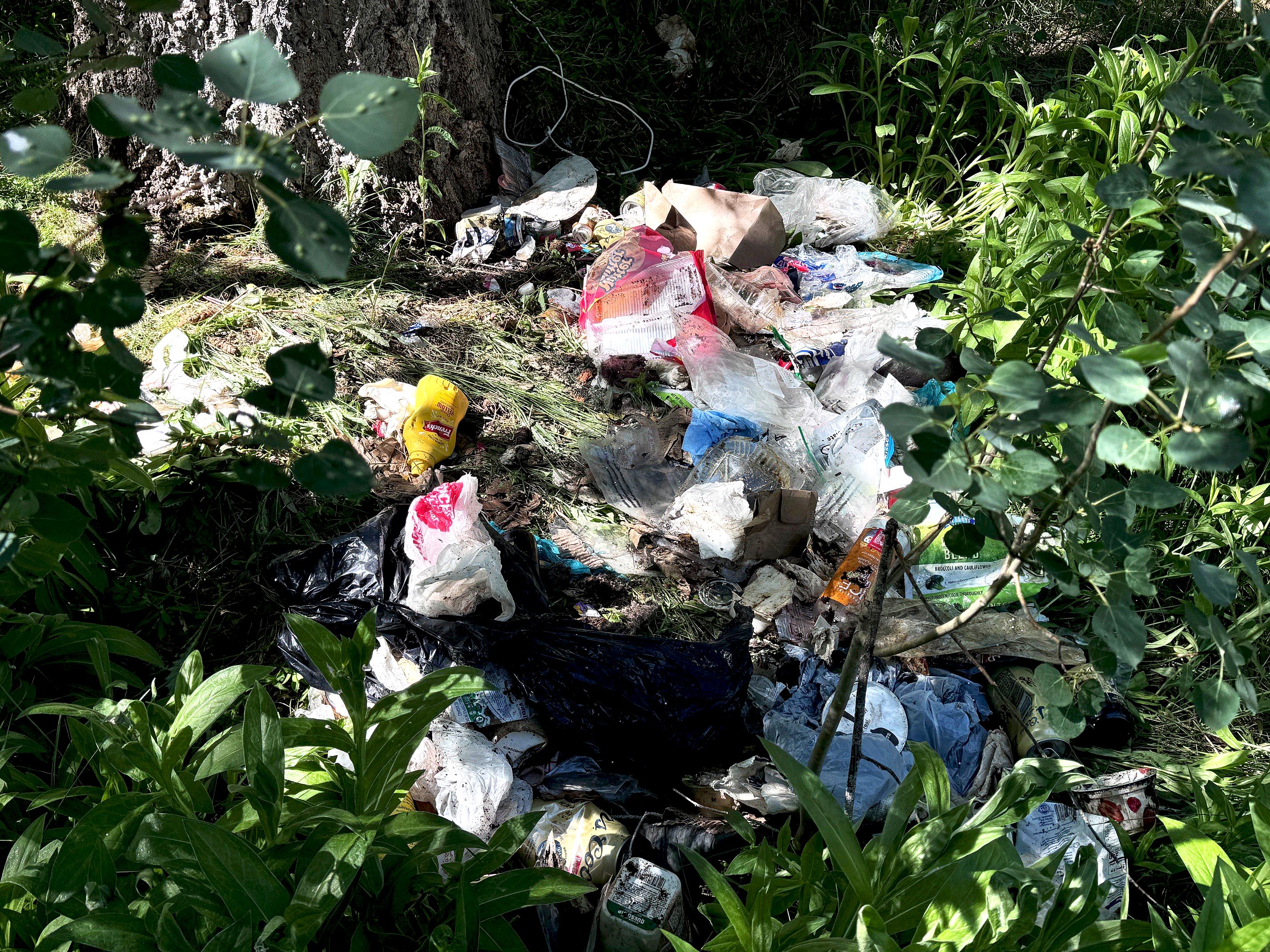 A large amount of residential garbage after bears gained access to unsecured garbage in the Wood River Valley June 2024