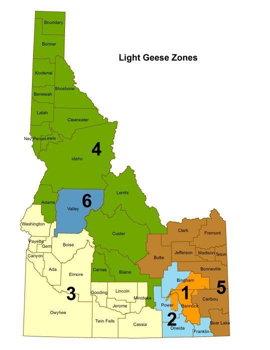 Light geese zones 2017