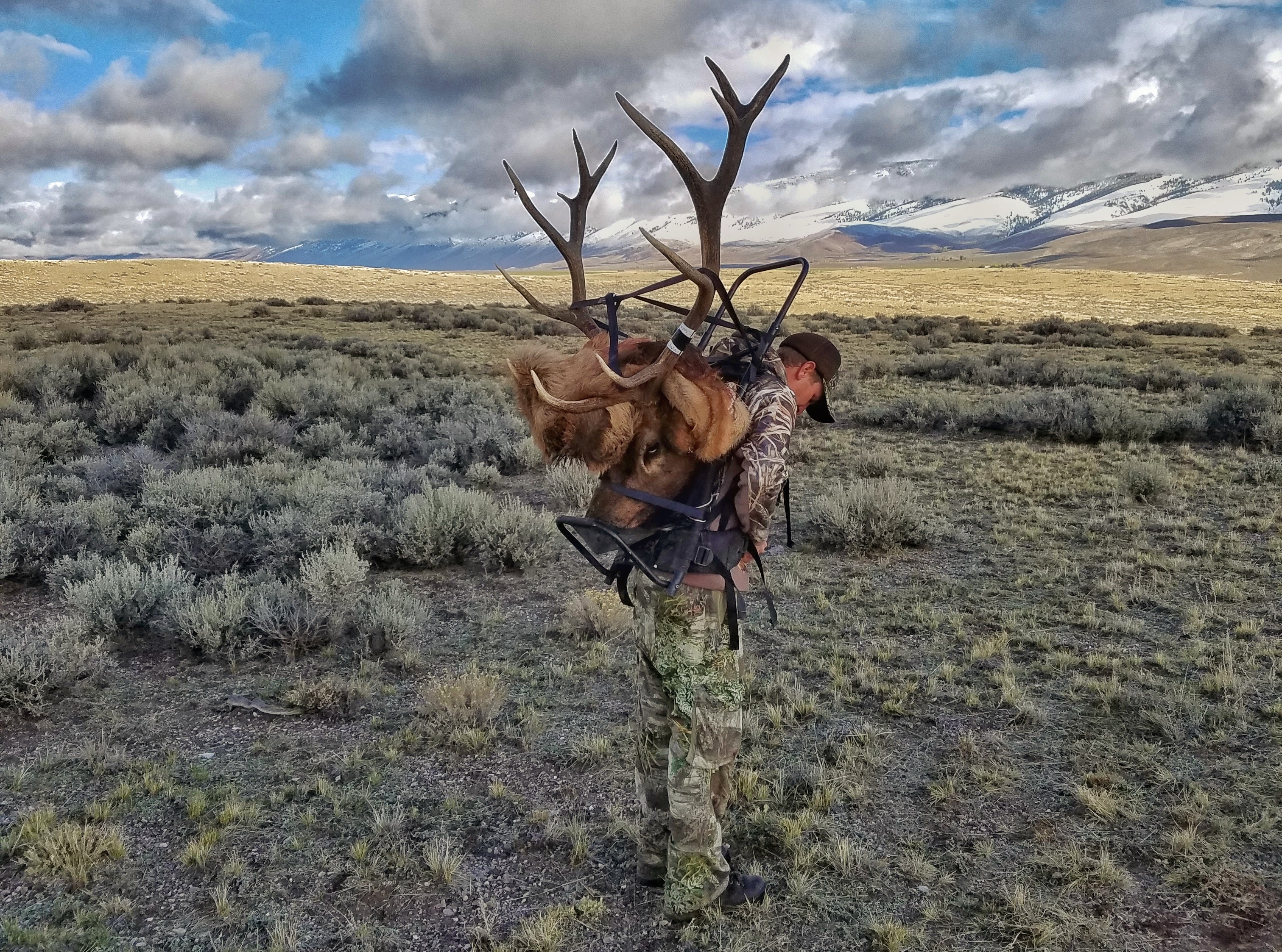 Packing out a deer best sale