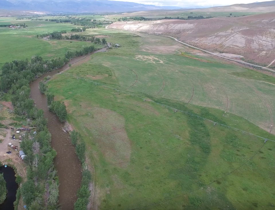 A  rather straight single channel of river flows through an agricultural field