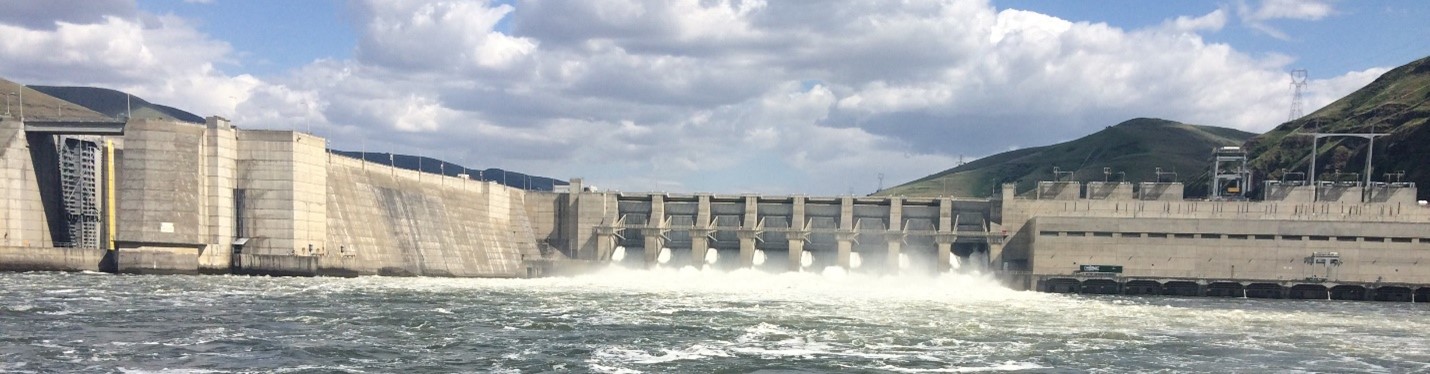 Lower Granite Dam