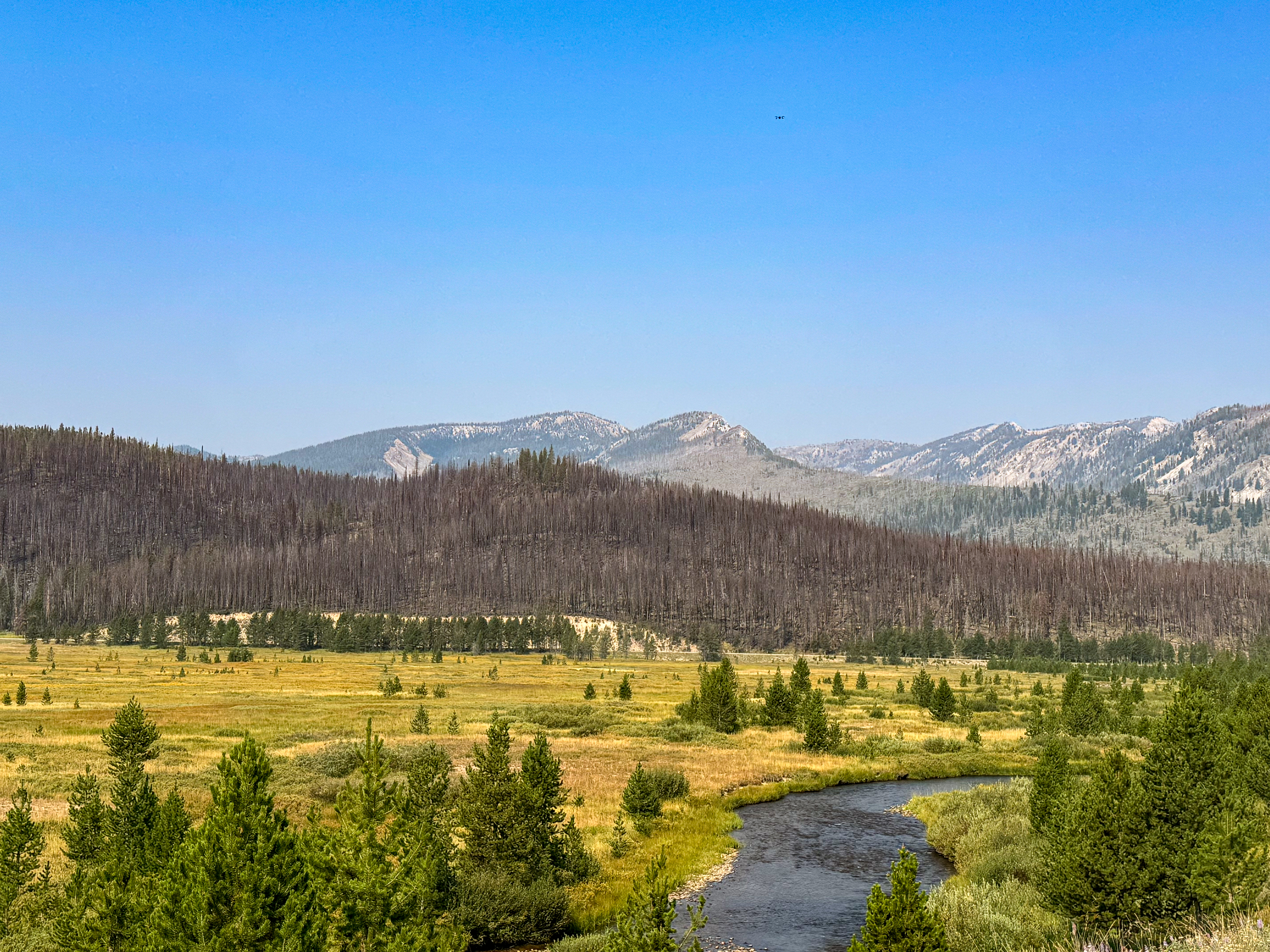 A view of Marsh Creek near Stanley, Idaho