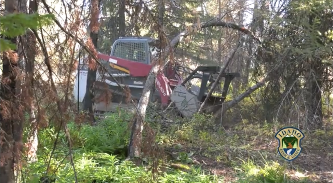 Craig Mountain WMA video series: Forest health part II- Mastication