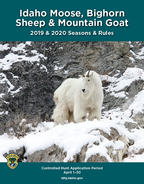 Moose, Bighorn Sheep and Mountain Goat 