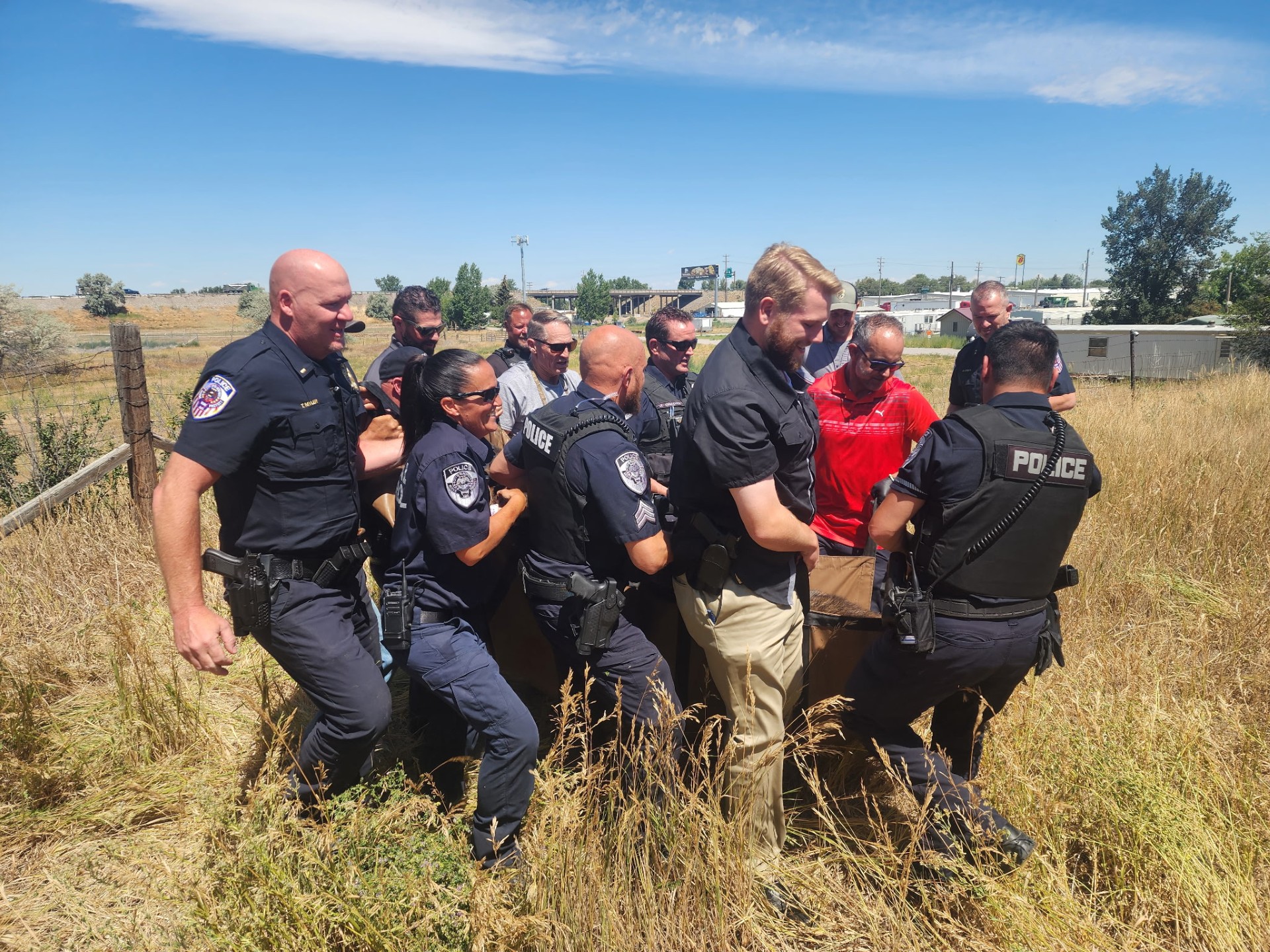 A group of people carrying a yearling moose through vegetation.