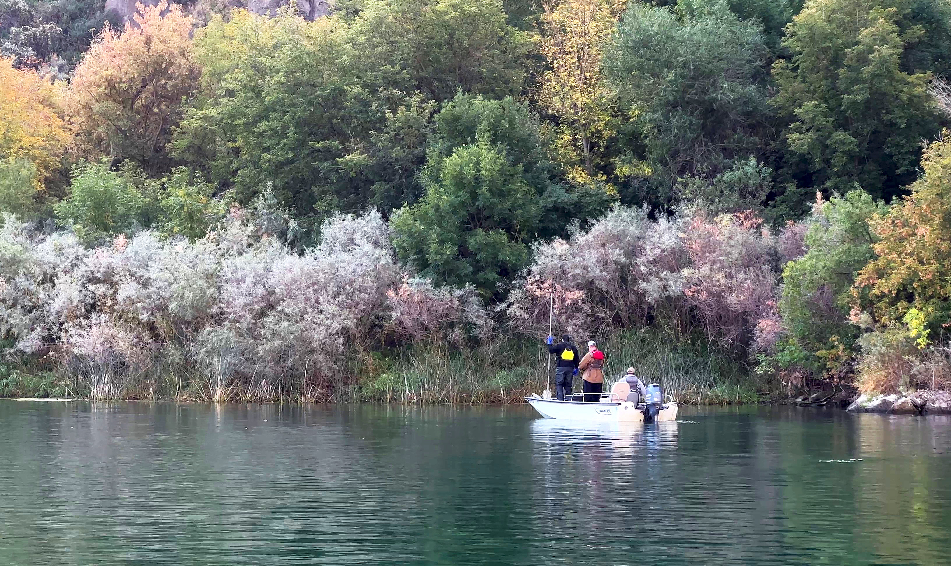 IDFG staff survey the Snake River for fish mortalities during the quagga mussel treatment.