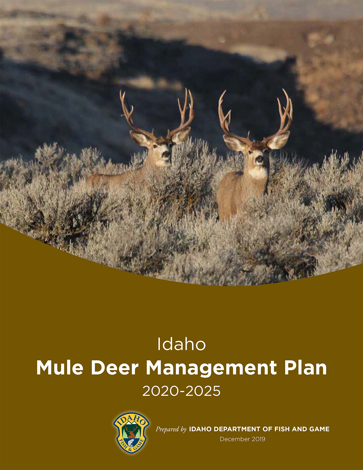 Deer management plans for 20202025 available online Idaho Fish and Game