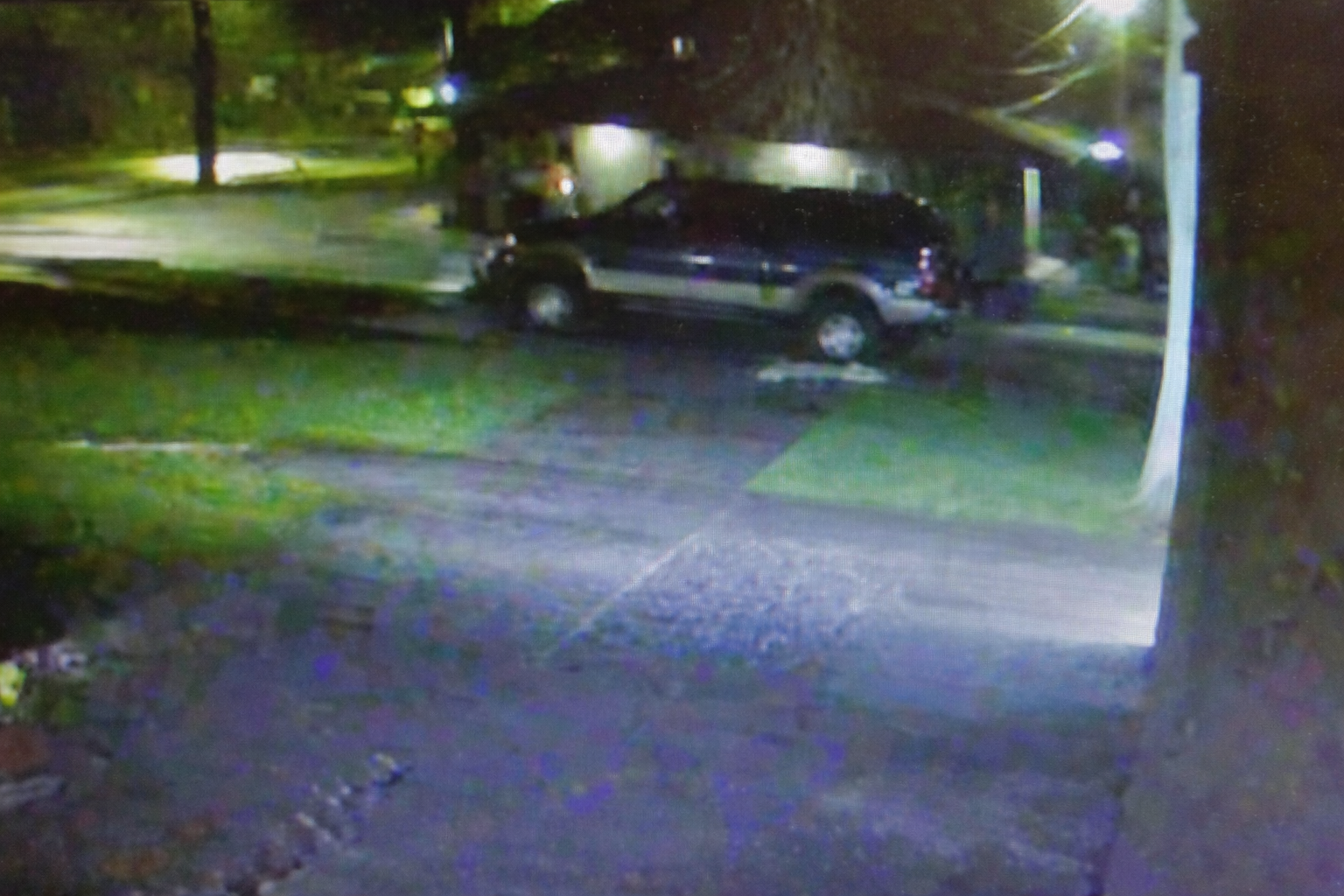 Nelson truck with deer