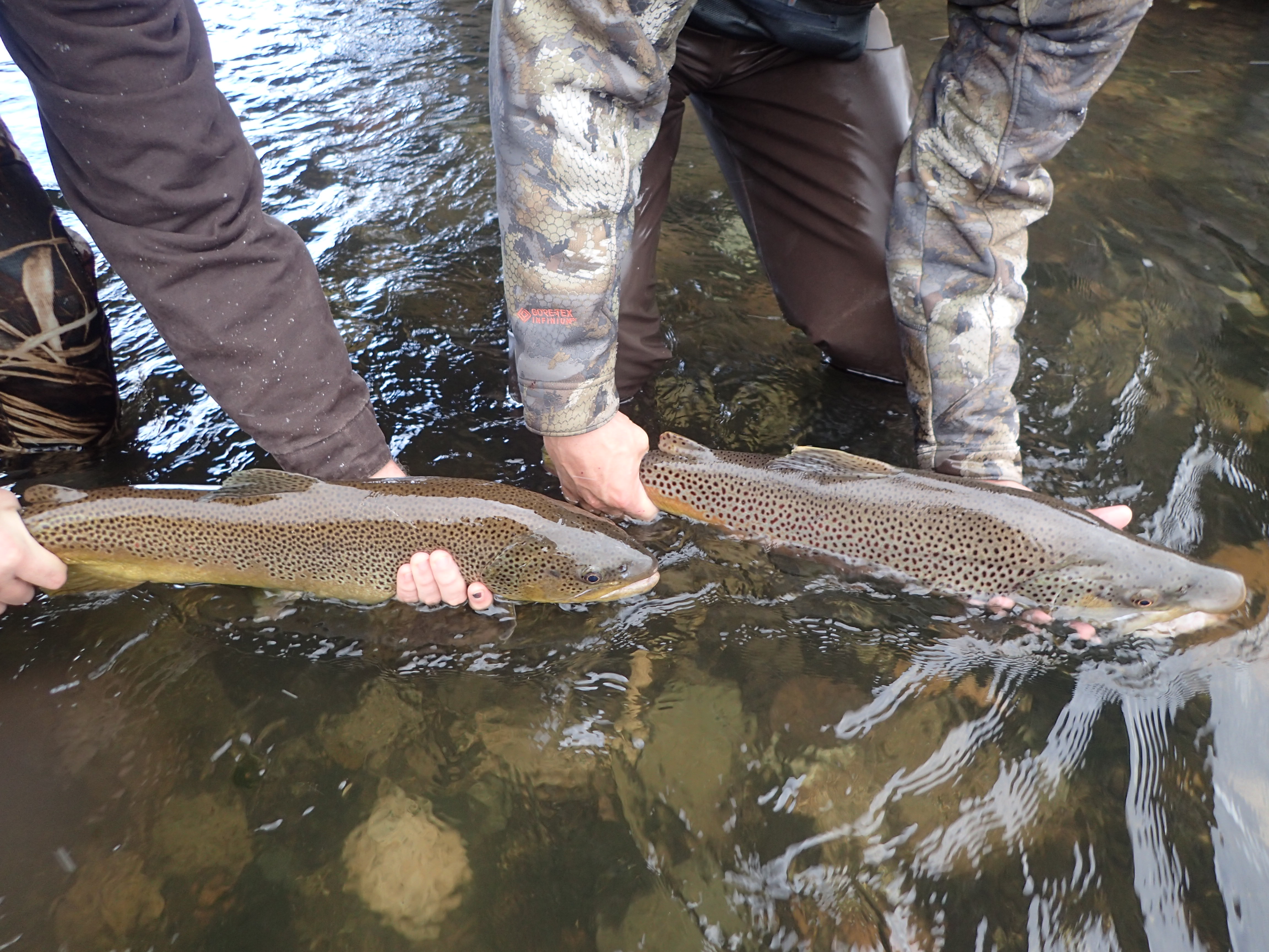 The lower Boise River: Idaho's urban fishery