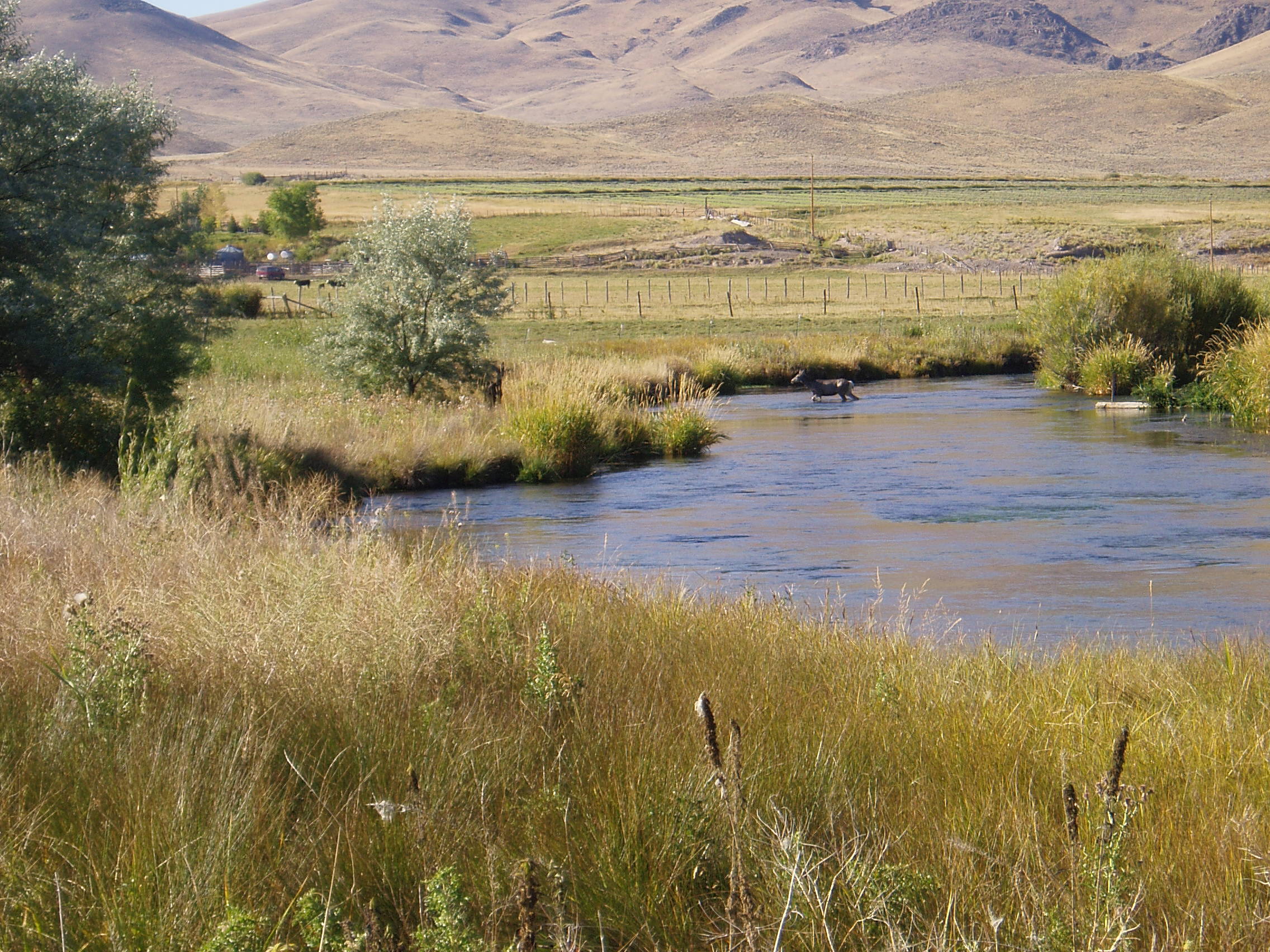 Pahsimeroi River-Bruce Barnett