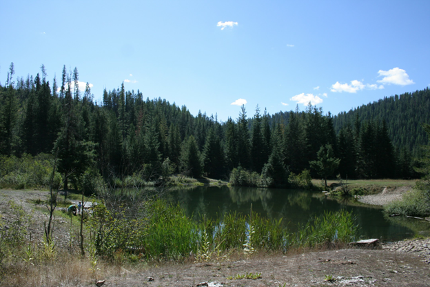 Palouse Pond