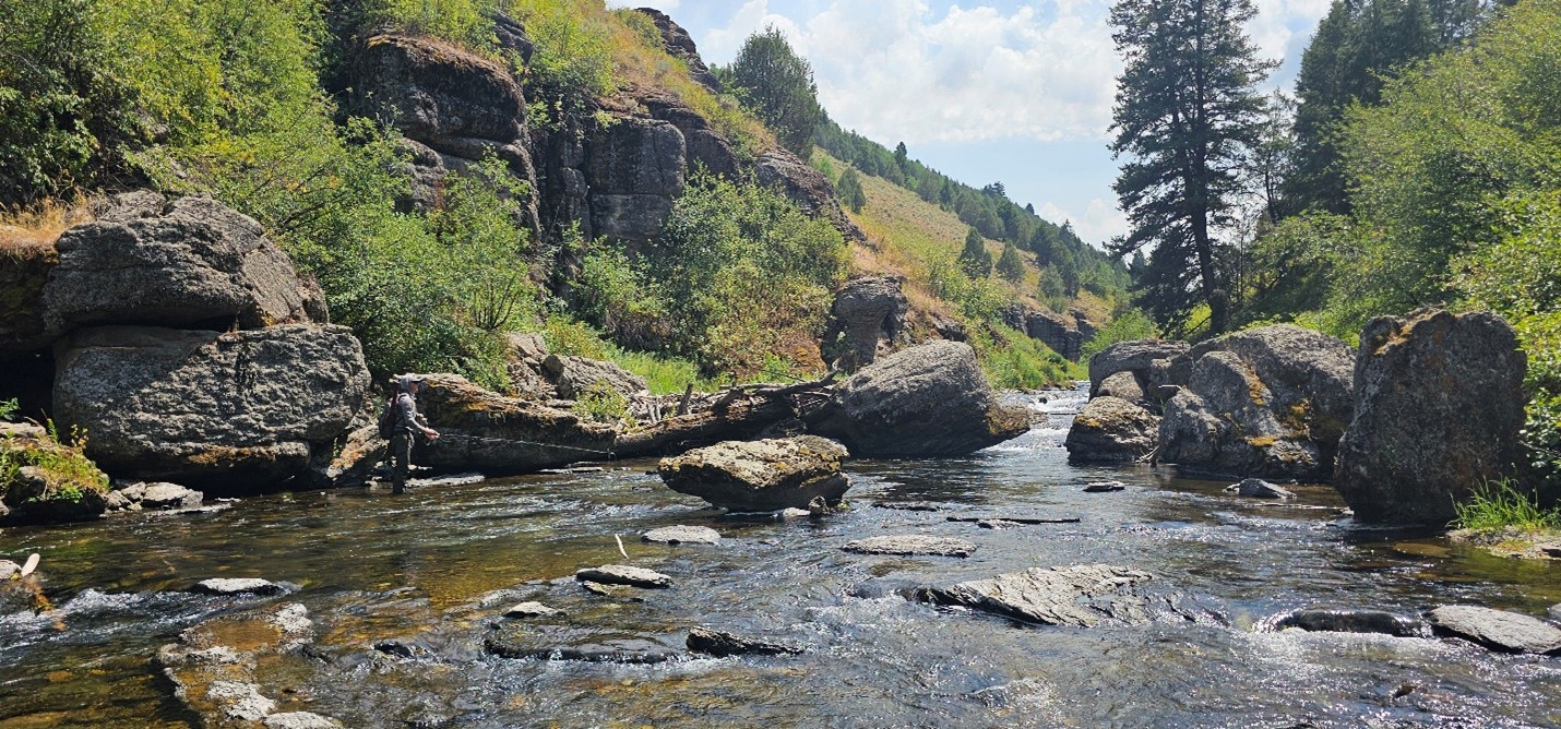 Looking Down Bitch Creek in the summer