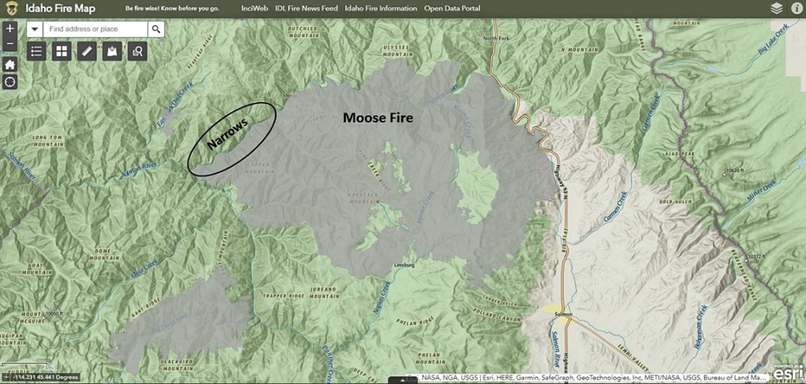 Moose Fire
