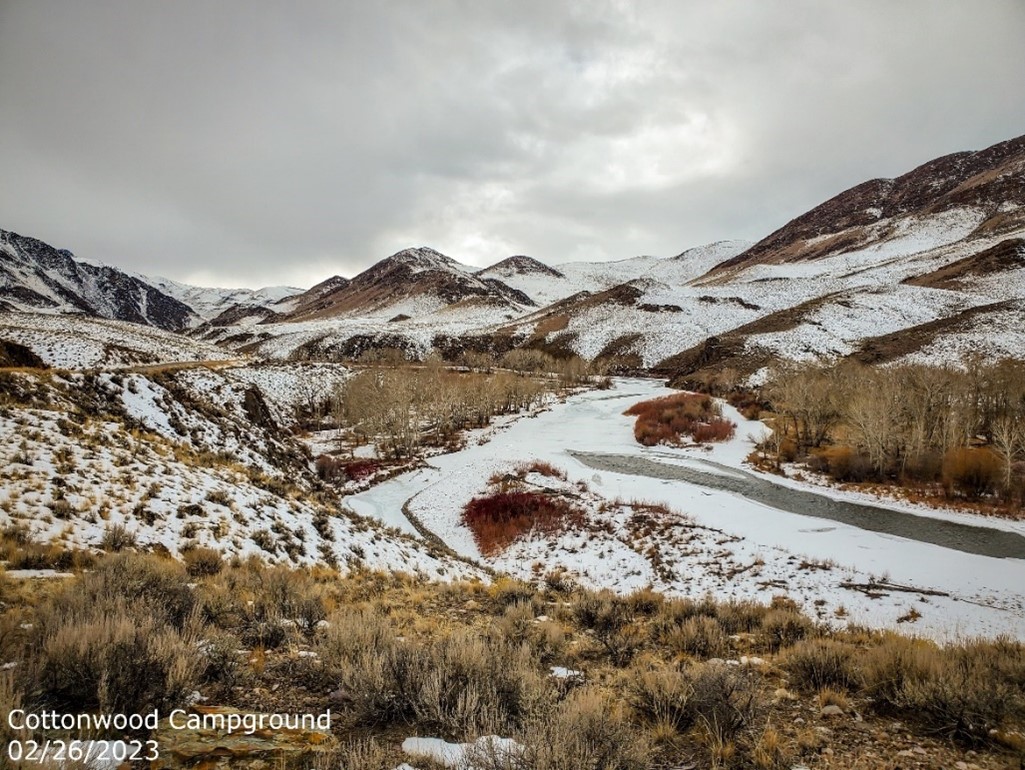 Cottonwood Campground, upper Salmon River