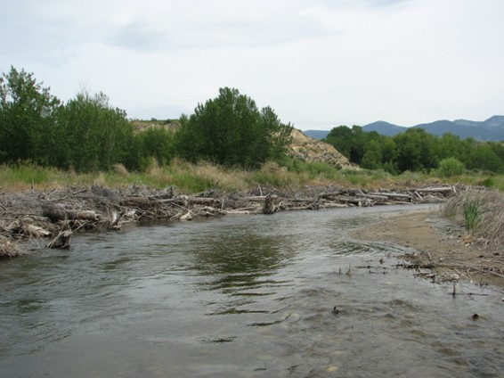 A river that has a newly added large bend flows through its new channel. Large wood structures can be seen above along the outside of the new bend.