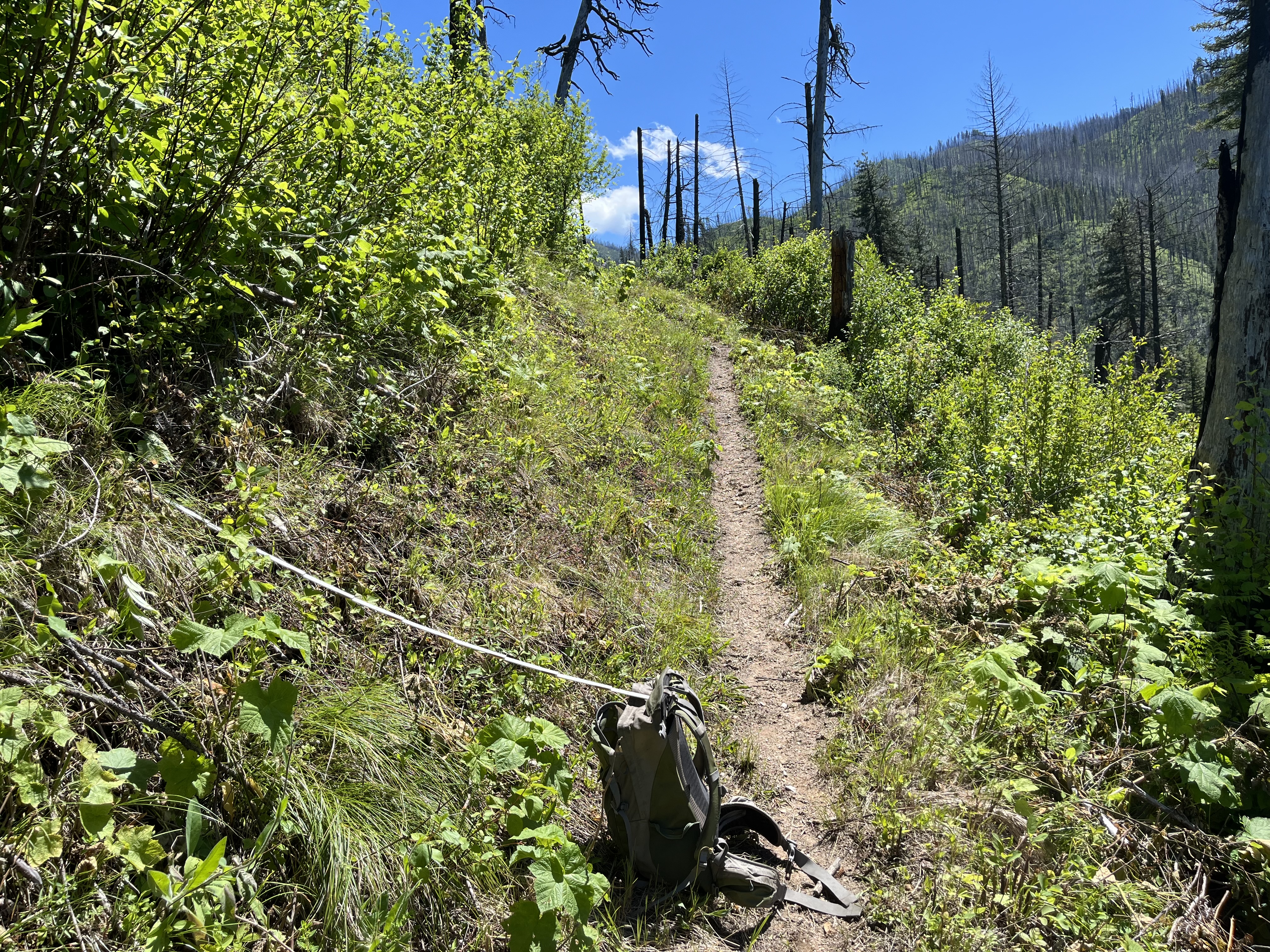 Selway GNA trail work