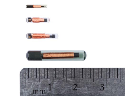 Passive integrated transponders (PIT) tags in various sizes and configurations
