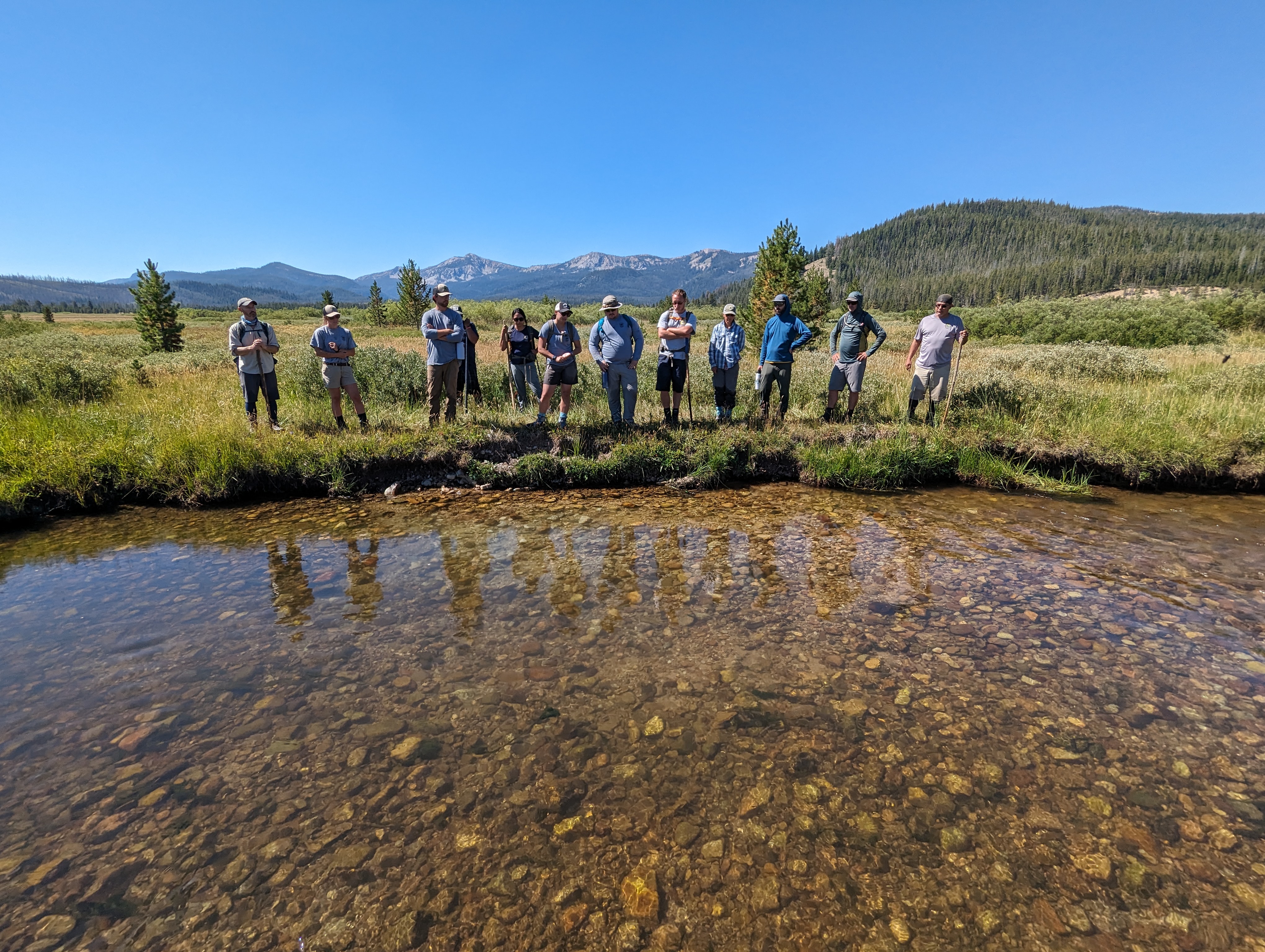 Fisheries biologists gathered at the bank of a stream on a sunny day and are gazing at a salmon redd visible in the stream