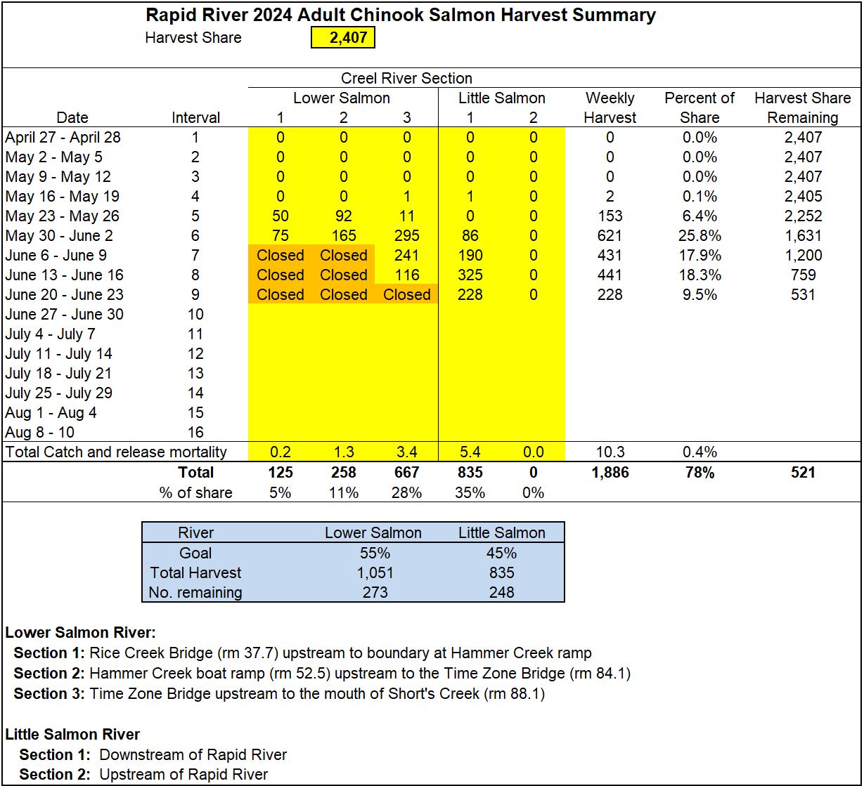 week chinook harvest in the lower Salmon and Little Salmon rivers 6-25-24