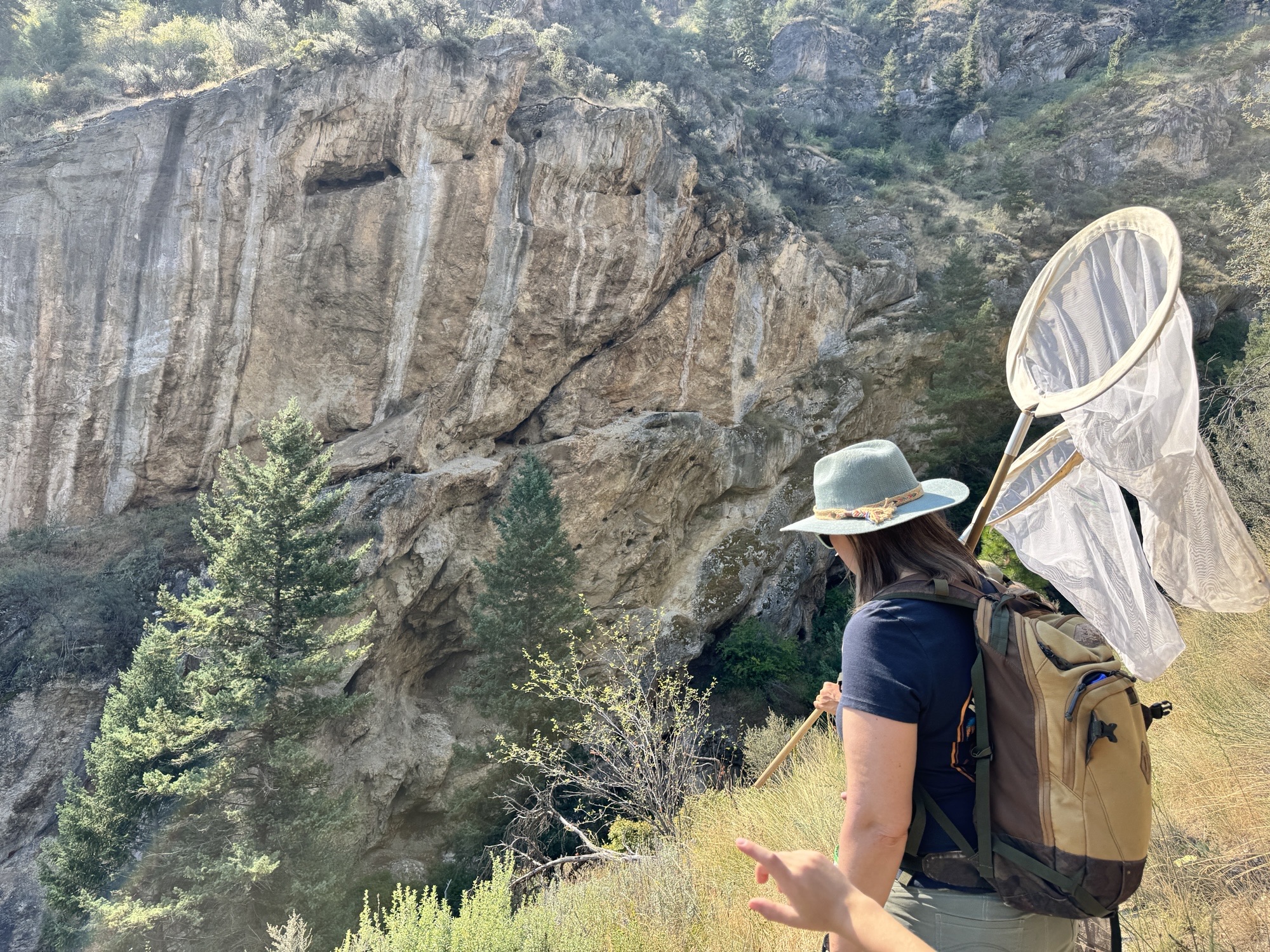 Rapid River trail-Butterfly Survey