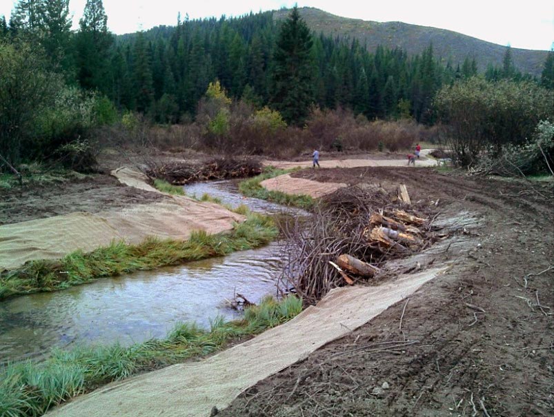 Rehab project East Fork Potlatch River