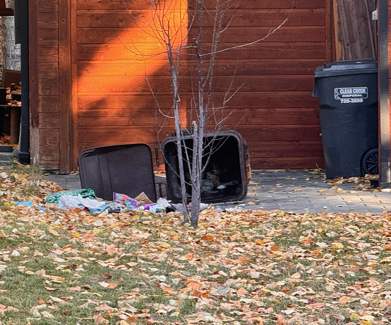 Unprotected garbage carts after a bear scatters garbage around a home in the Wood River Valley