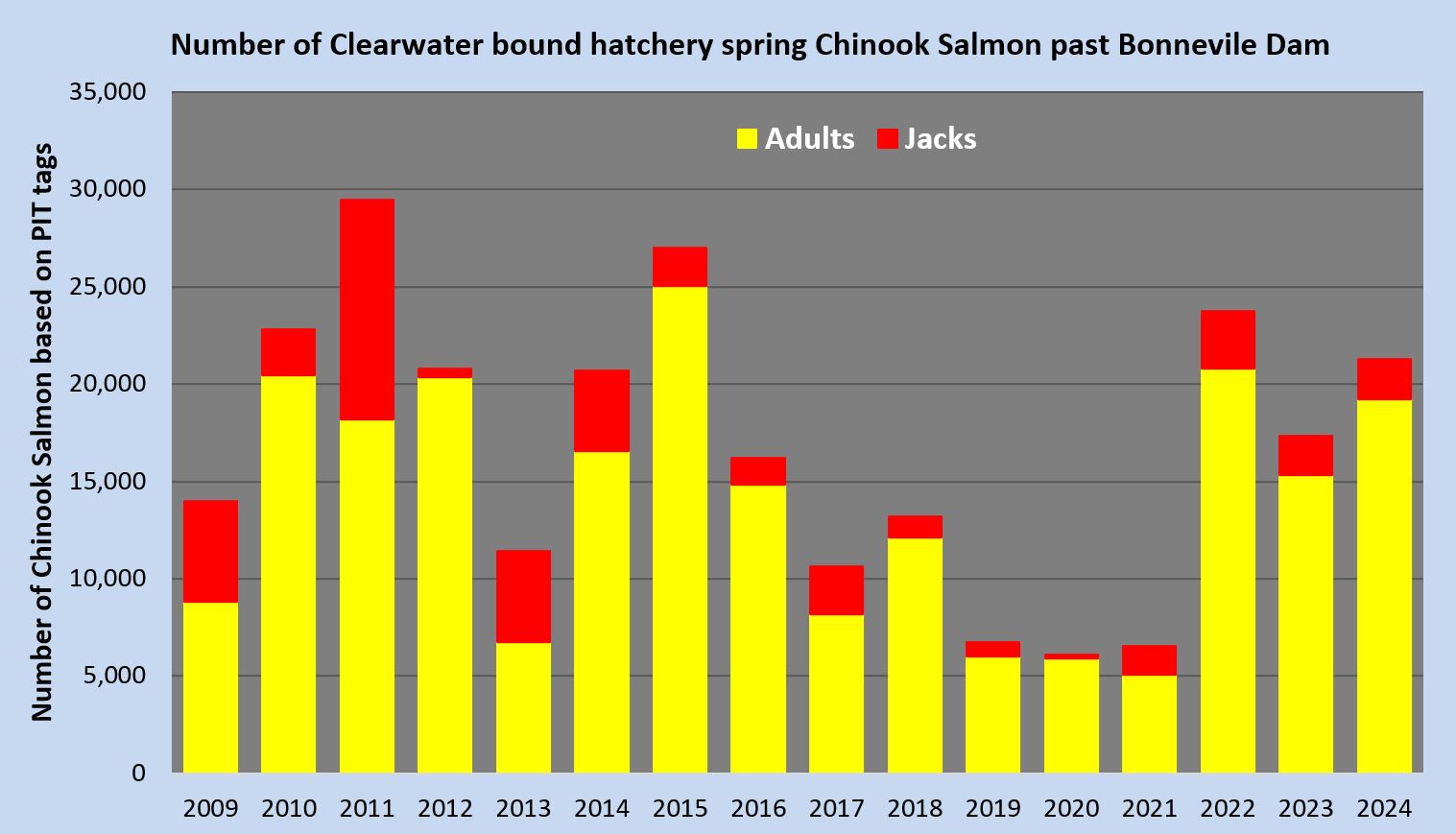 Clearwater spring Chinook returns 2009-2024