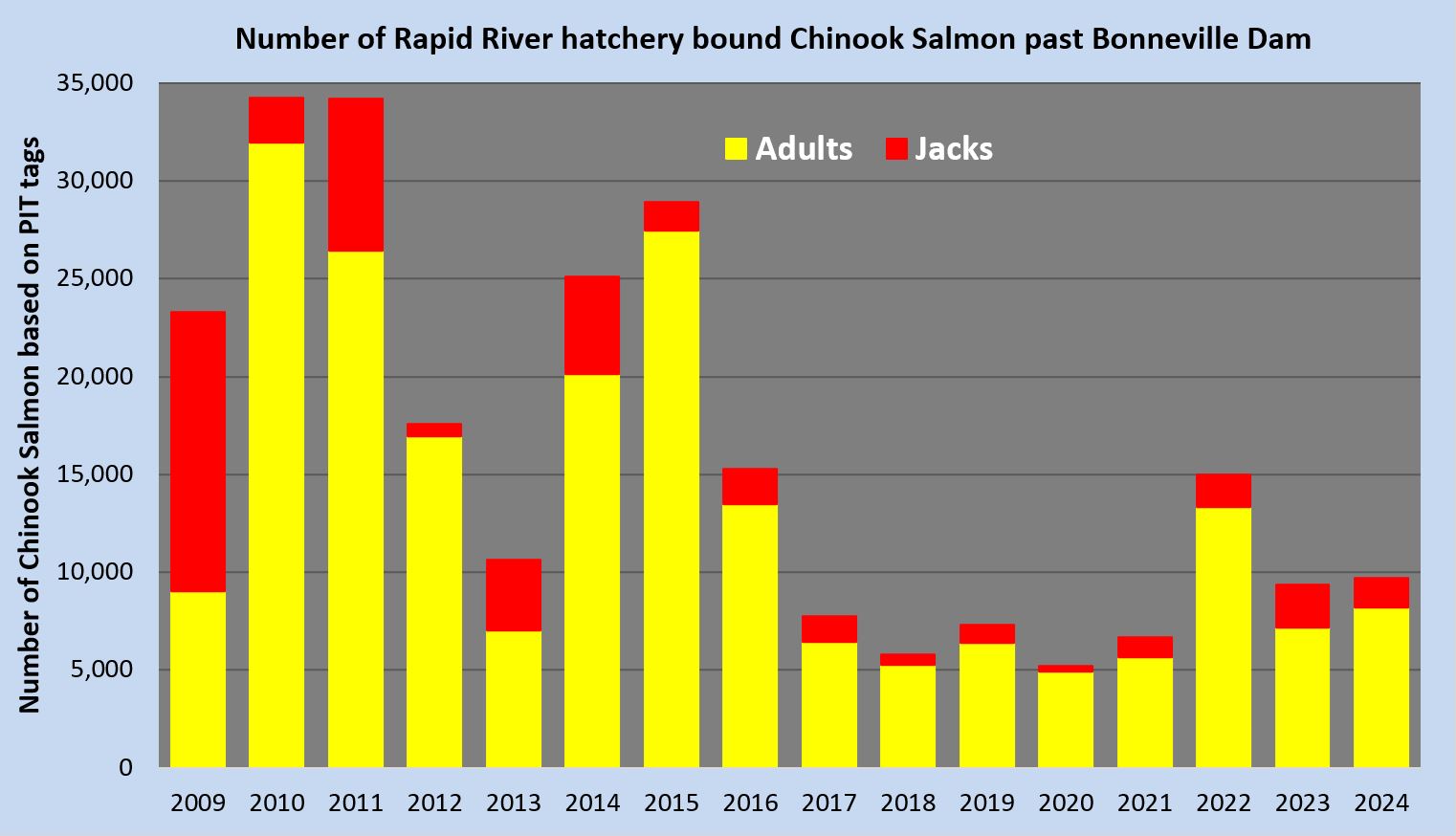 Rapid river chinook returns 2009-2024