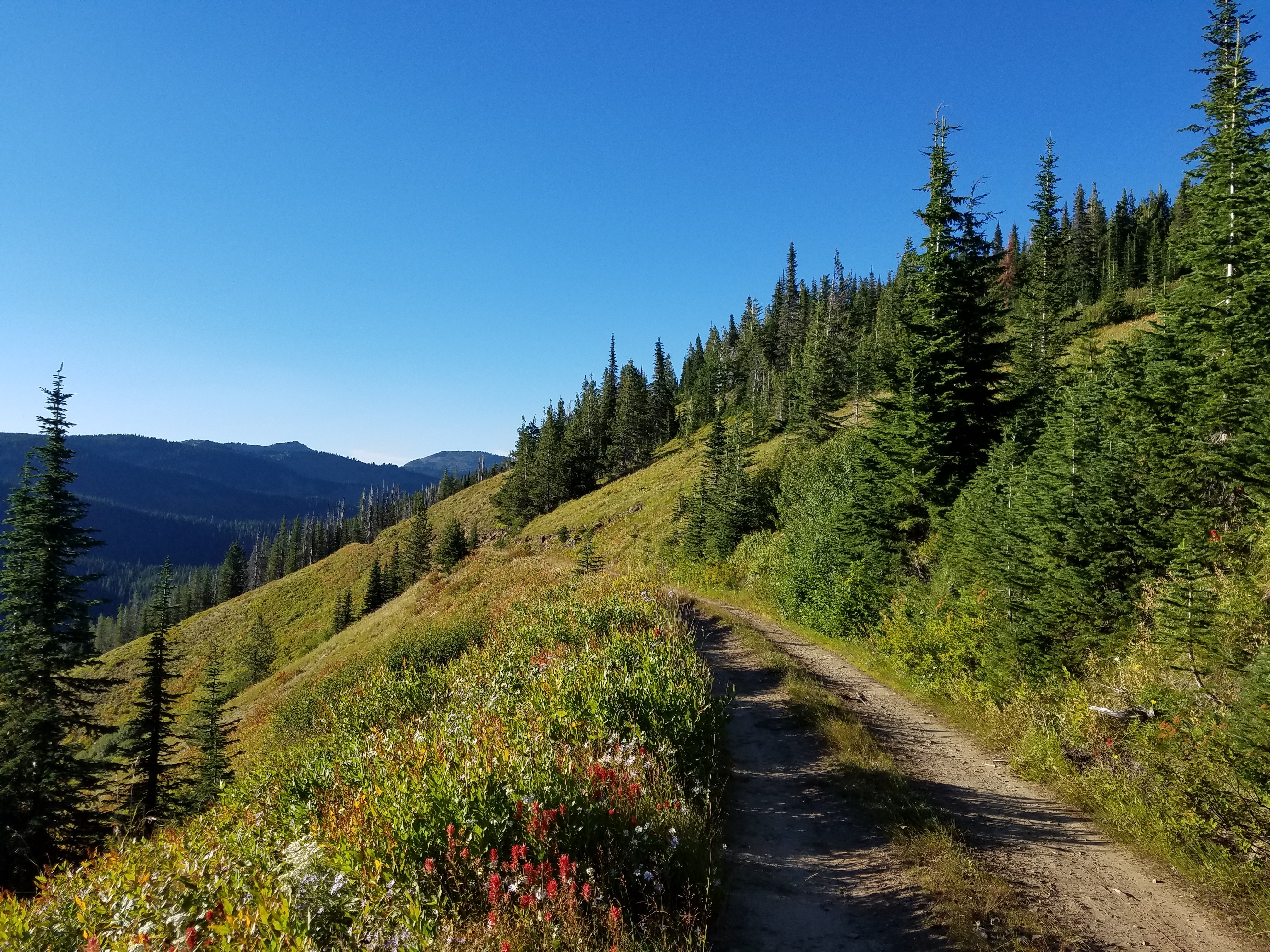Road into Five Lakes Butte