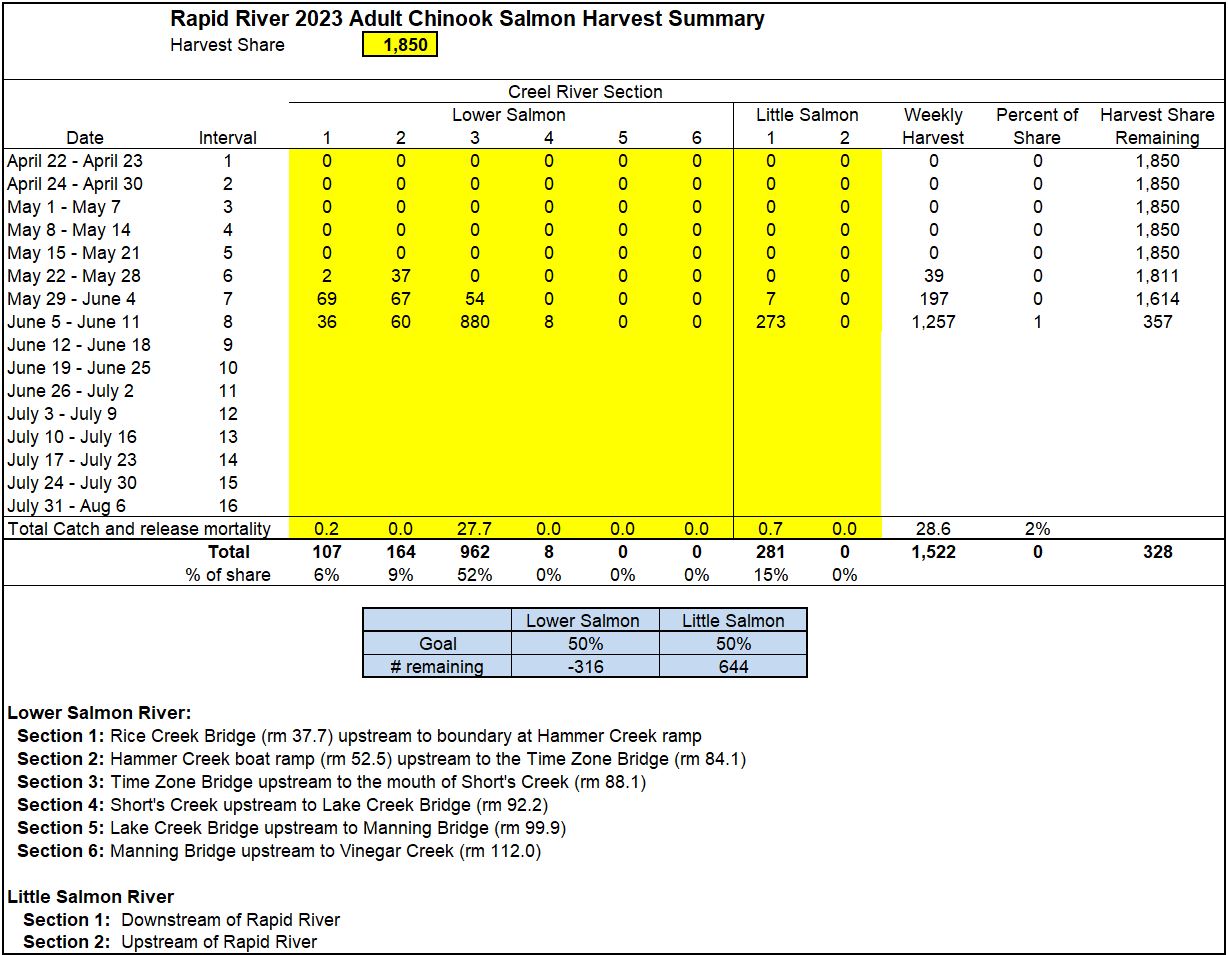 Weekly chinook harvest in the lower and Little Salmon rivers 6-12-23