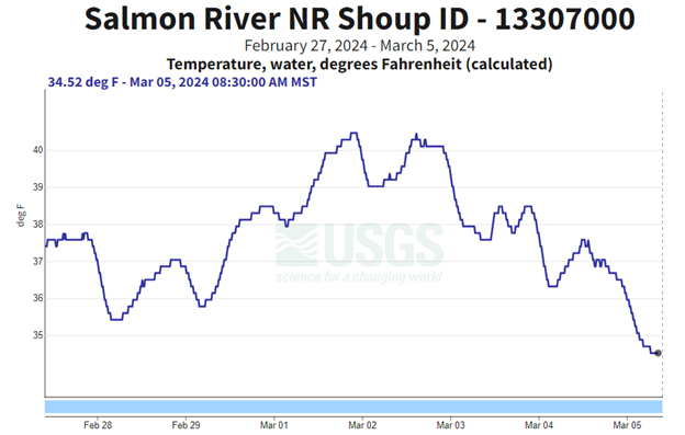 USGS Gauge nr Shoup - temp 03-05-24