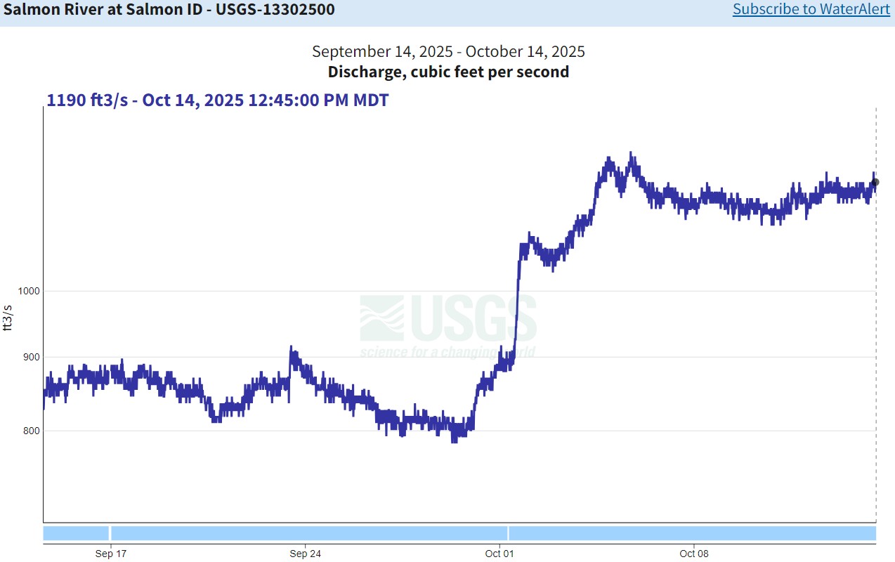 USGS Gauge in Salmon - flow 10-14-25