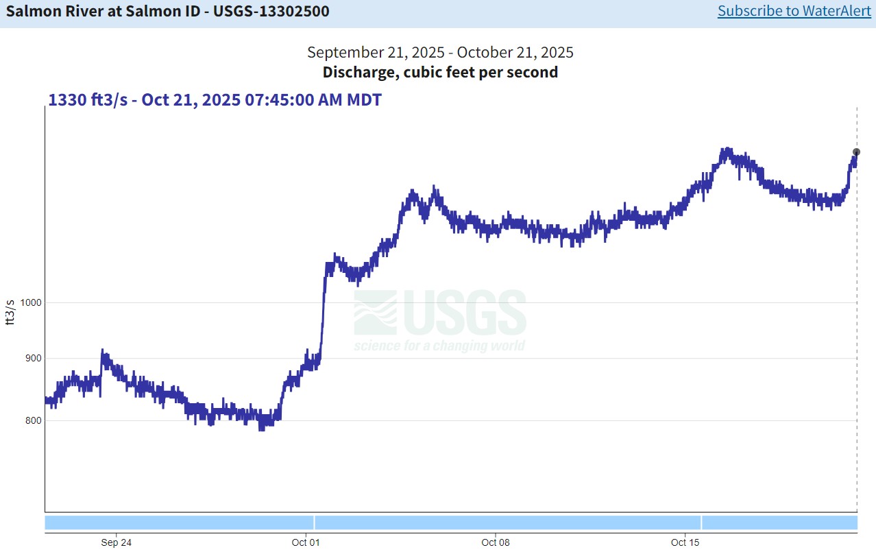 USGS Gauge nr Salmon - Flow