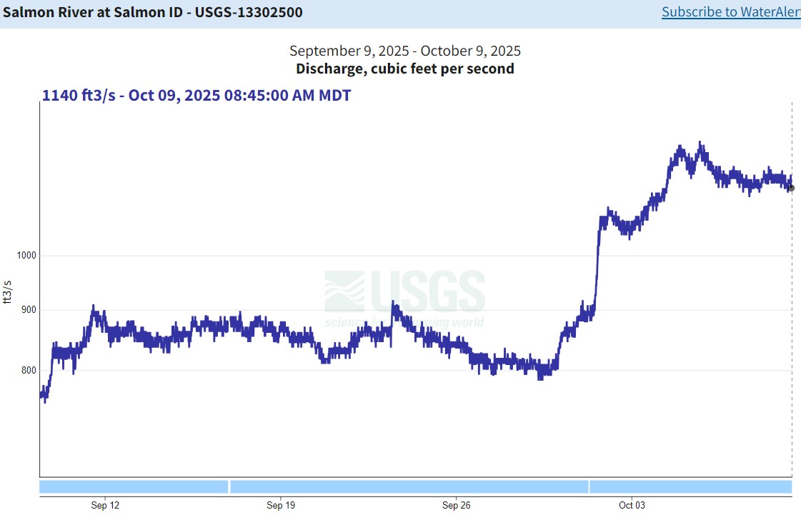 USGS Gauge in Salmon
