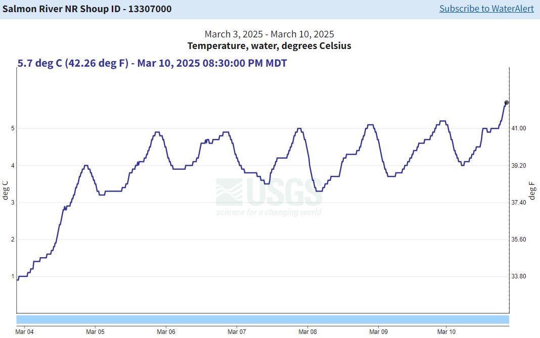 USGS Gauge nr Shoup - temp 03-10-2025