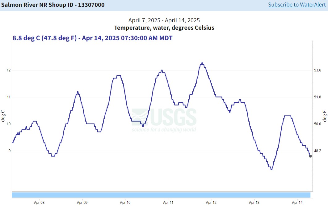 USGS Gauge nr Shoup - temp 04-15-25
