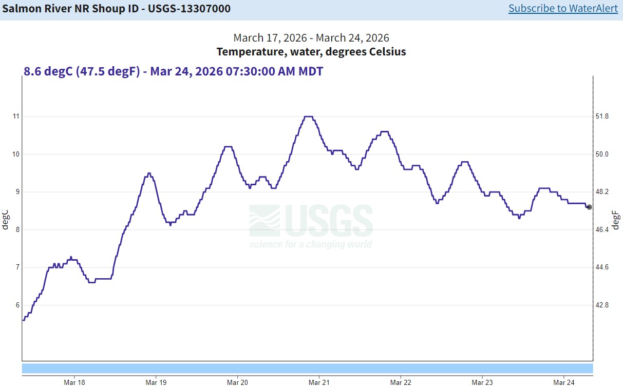 USGS Gauge nr Shoup - temp 03-24-26