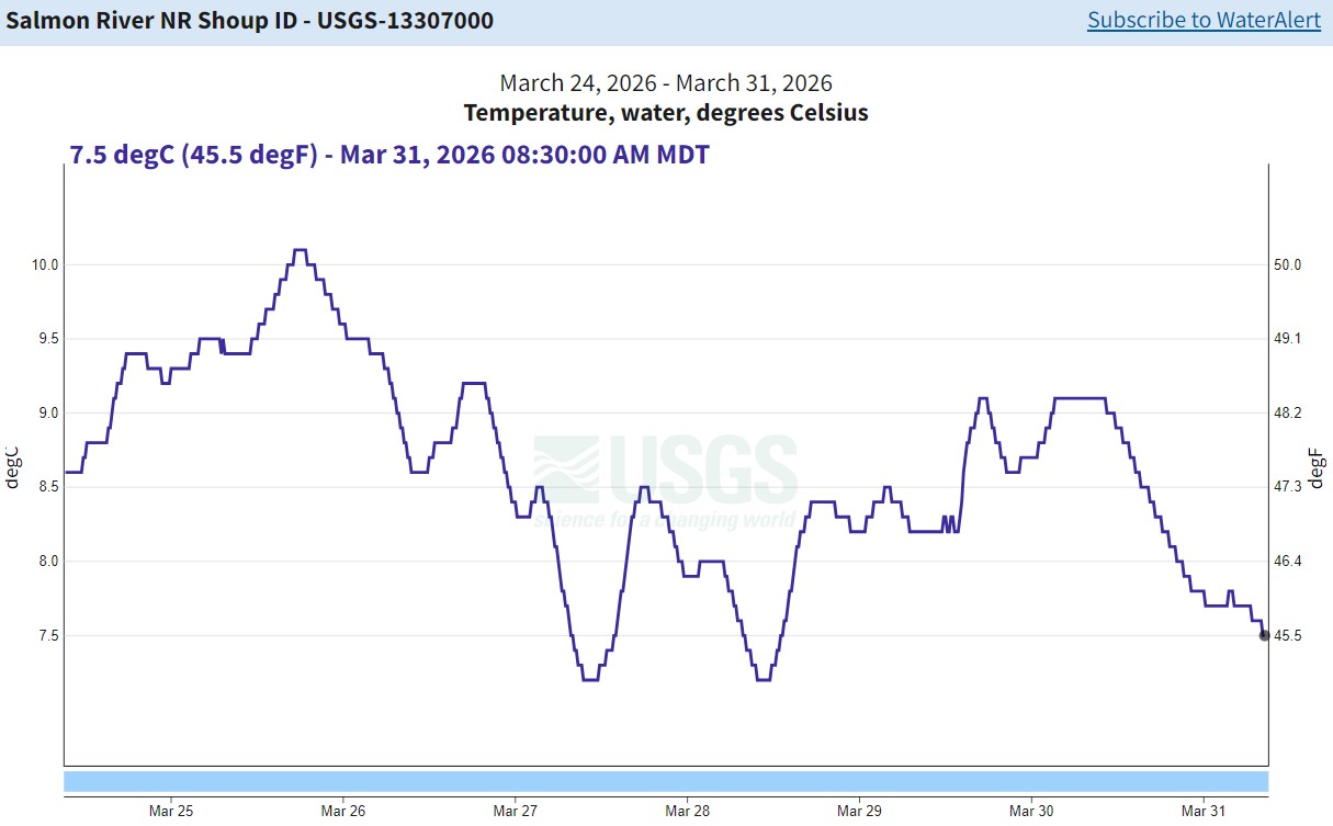 USGS Gauge nr Shoup - temp 03-31-26